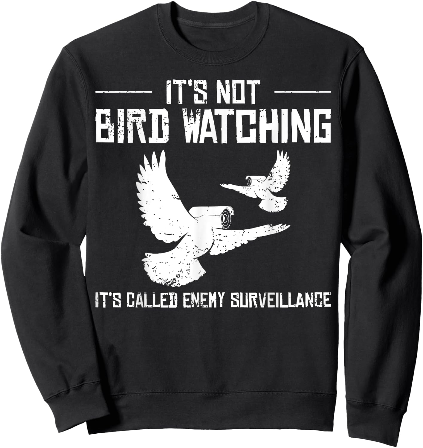 Bird Watching Government Conspiracy Birds Aren’t Real Sweatshirt - Sweatshirt | Black