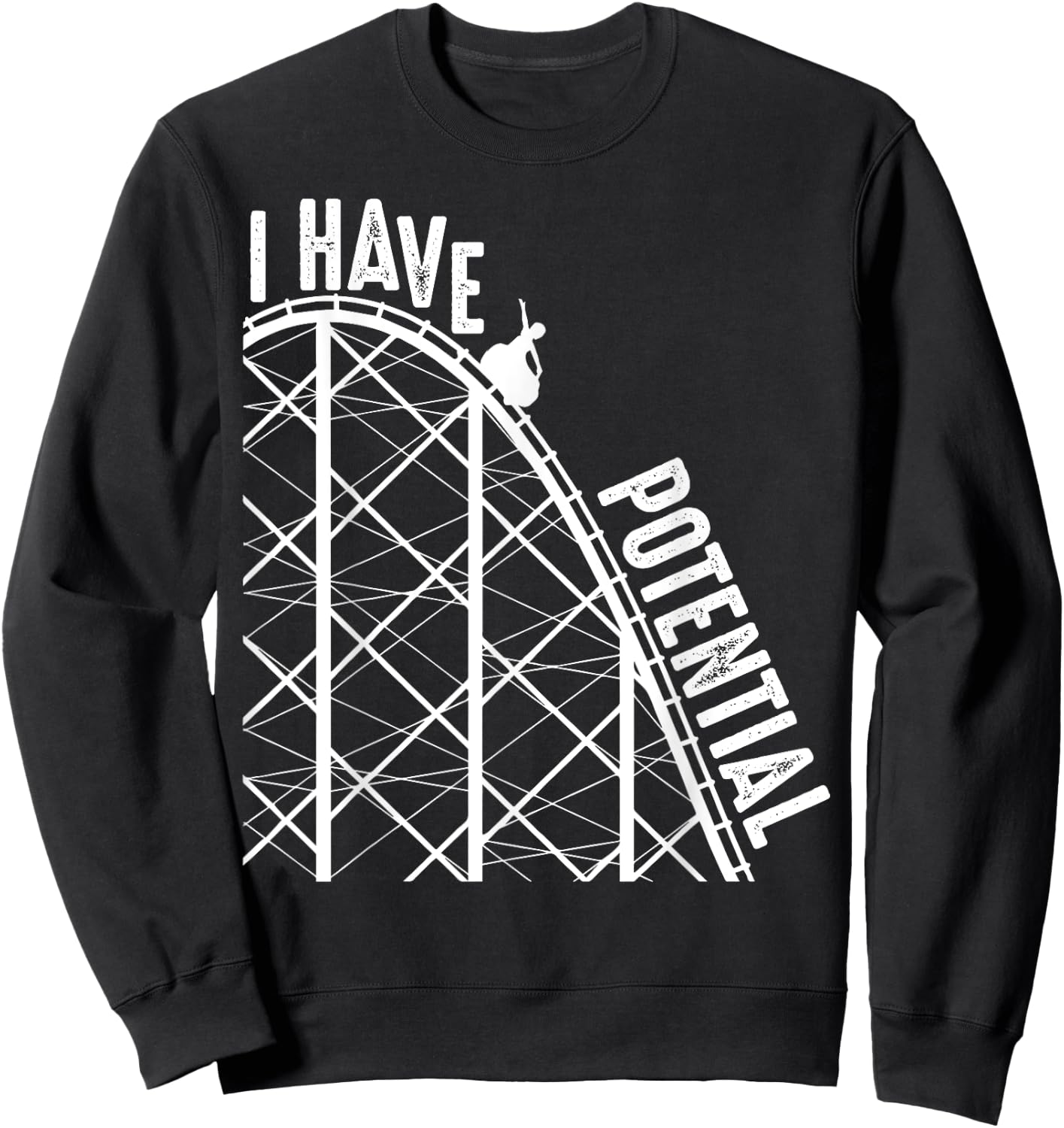 Funny I Have Potential | Cool Roller Coaster Physics Gift Sweatshirt - Sweatshirt | Black