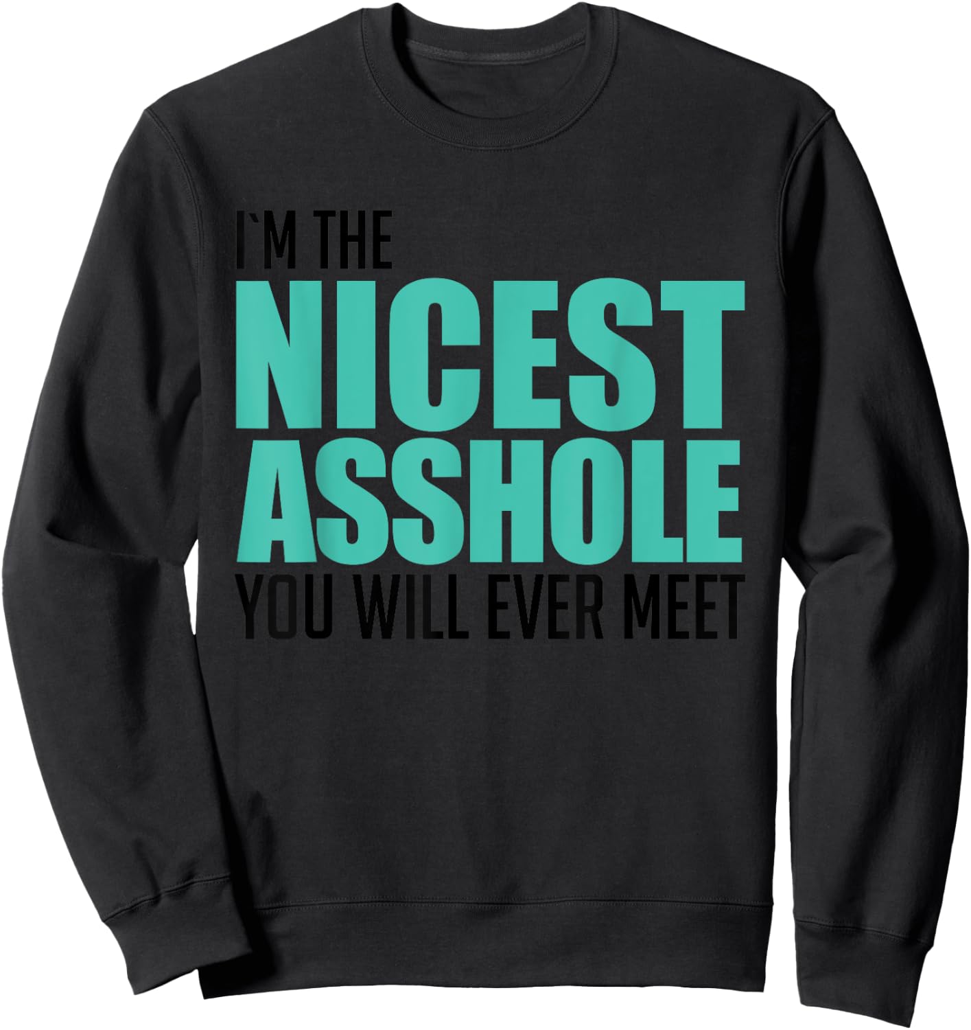I'm The Nicest Asshole You'll Ever Meet Sarcastic Gift Sweatshirt - Sweatshirt | Black