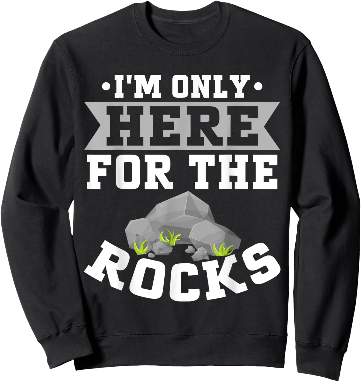 I'm Only Here for the Rocks Mineral Collection Sweatshirt - Sweatshirt | Black