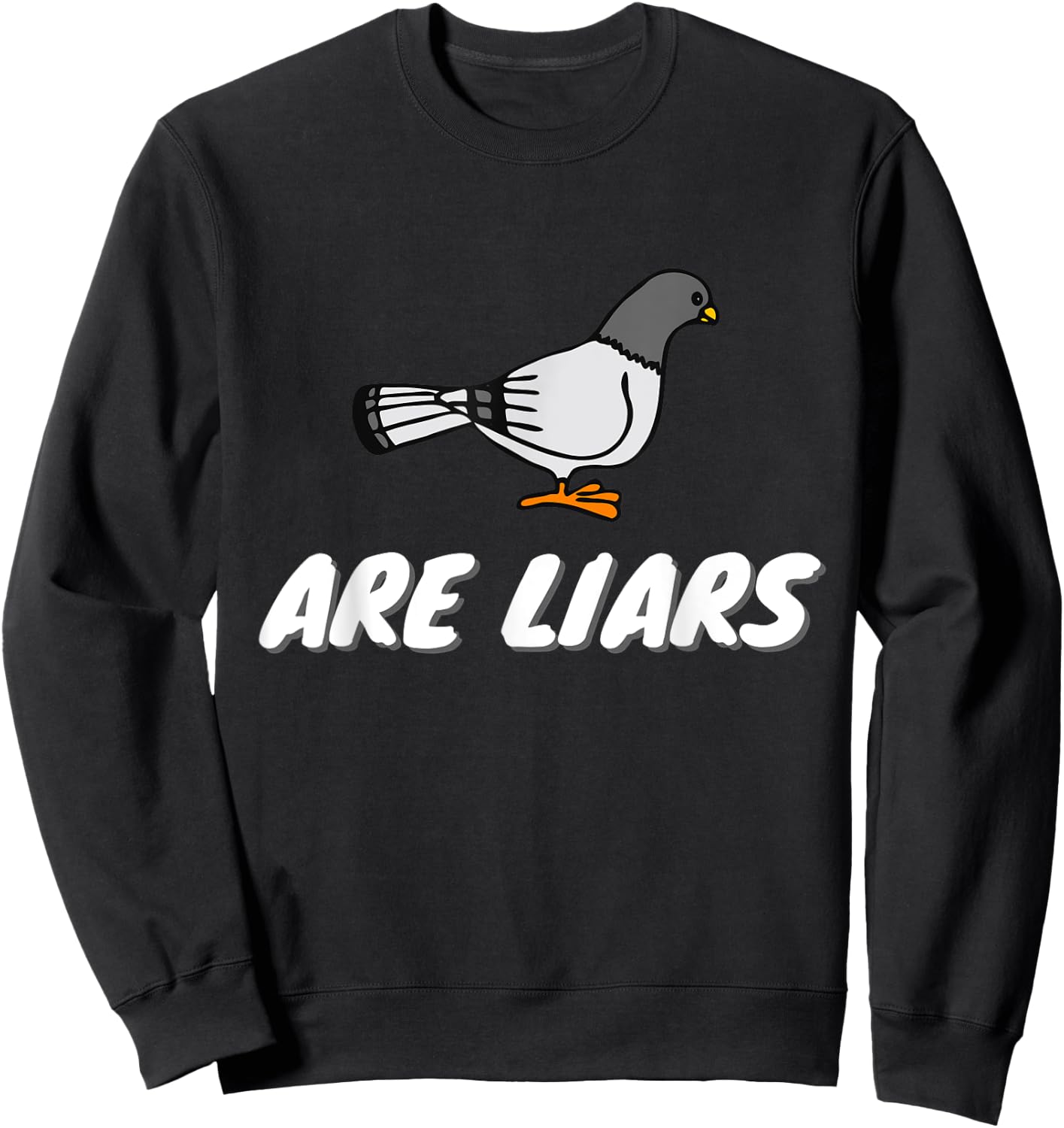 Pigeons Are Liars Bird Aren't Real Spies Gifts Men Women Sweatshirt - Sweatshirt | Black