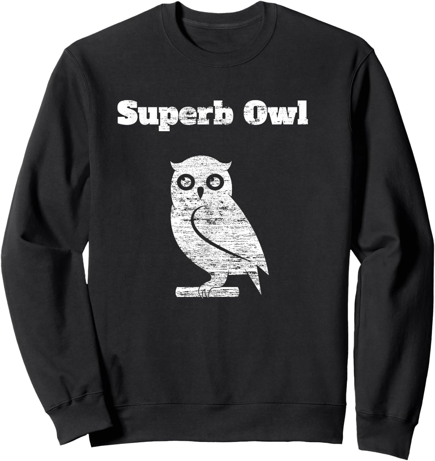 Wayne Rose Women's Black Modern Distressed Owl , Small, Short Sleeve, , Classic Fit, Cotton 60% Polyester 40% Sweatshirt - Sweatshirt | Black