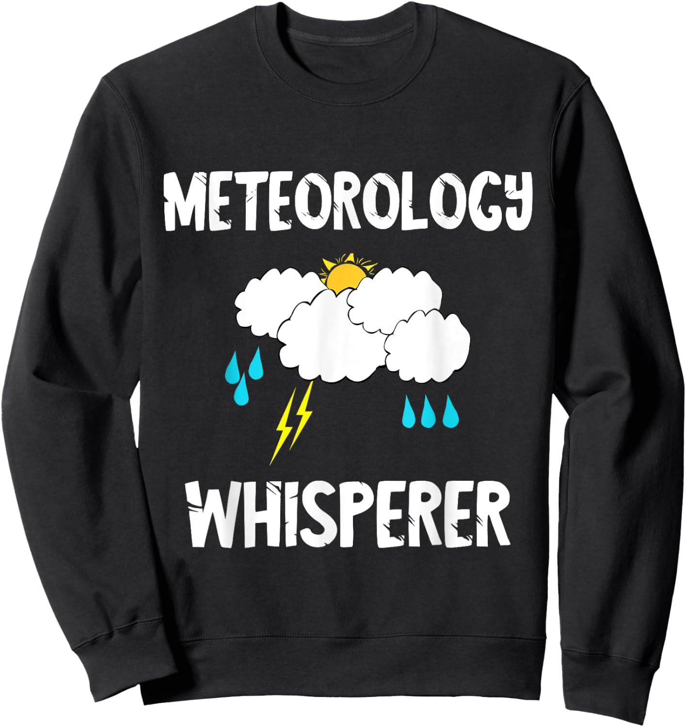 Meteorology Whisperer Meteorologist Forecaster Sweatshirt - Sweatshirt | Black