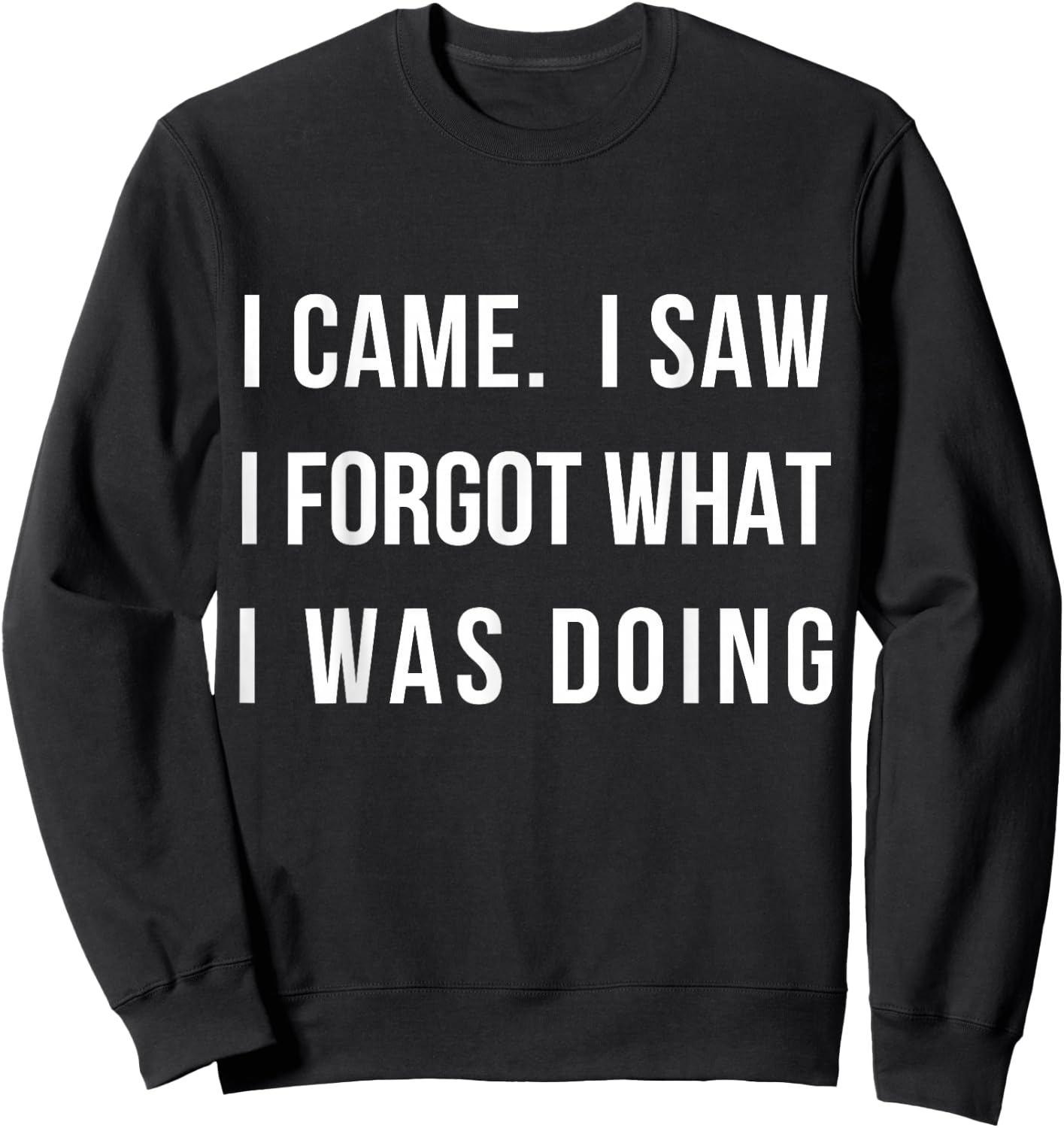 I Came I Saw I Forgot What I was Doing Sarcastic Small Sweatshirt - Sweatshirt | Black