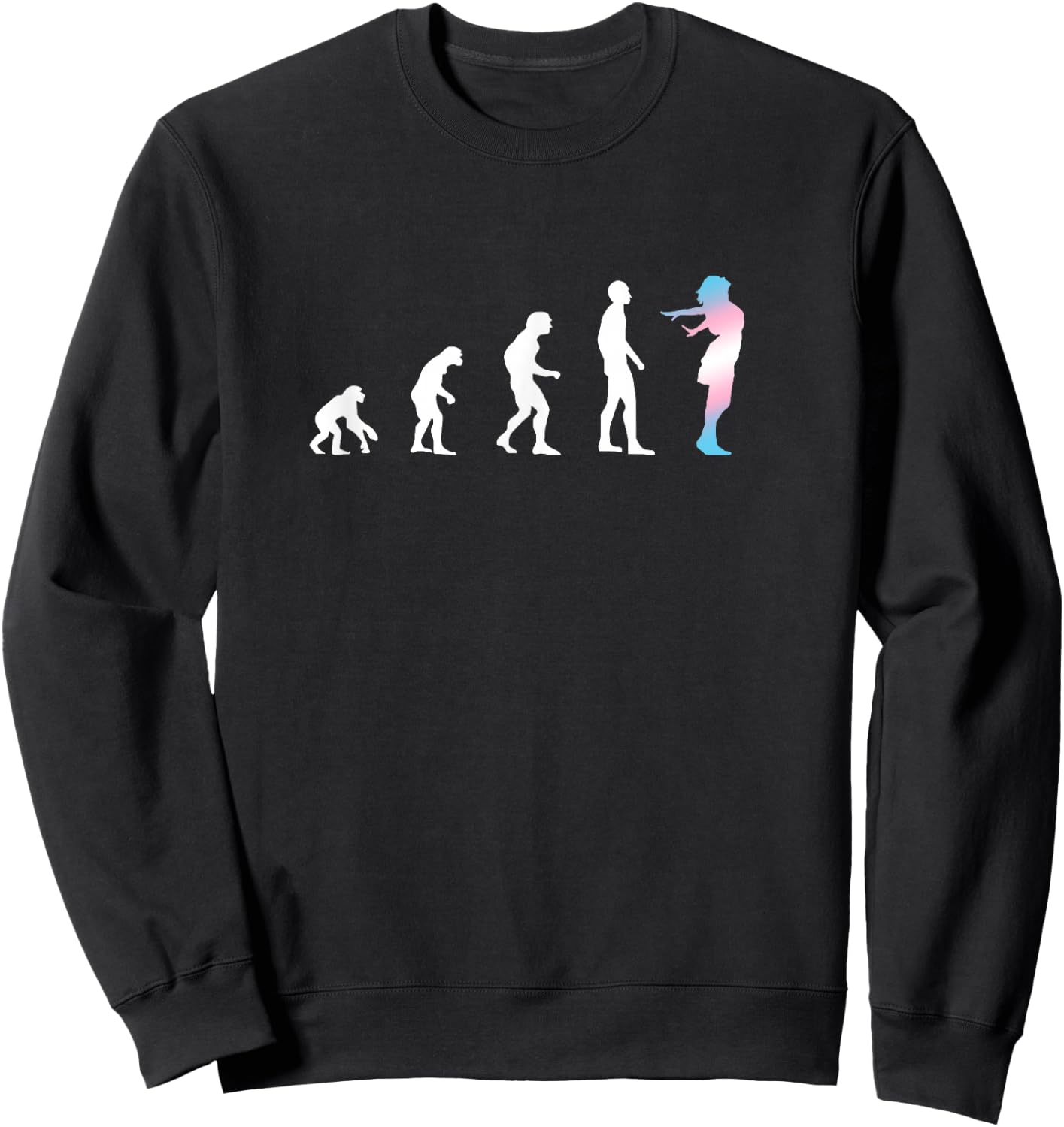 Male to Female Evolution - Transgender CSD Trans Sweatshirt - Sweatshirt | Black