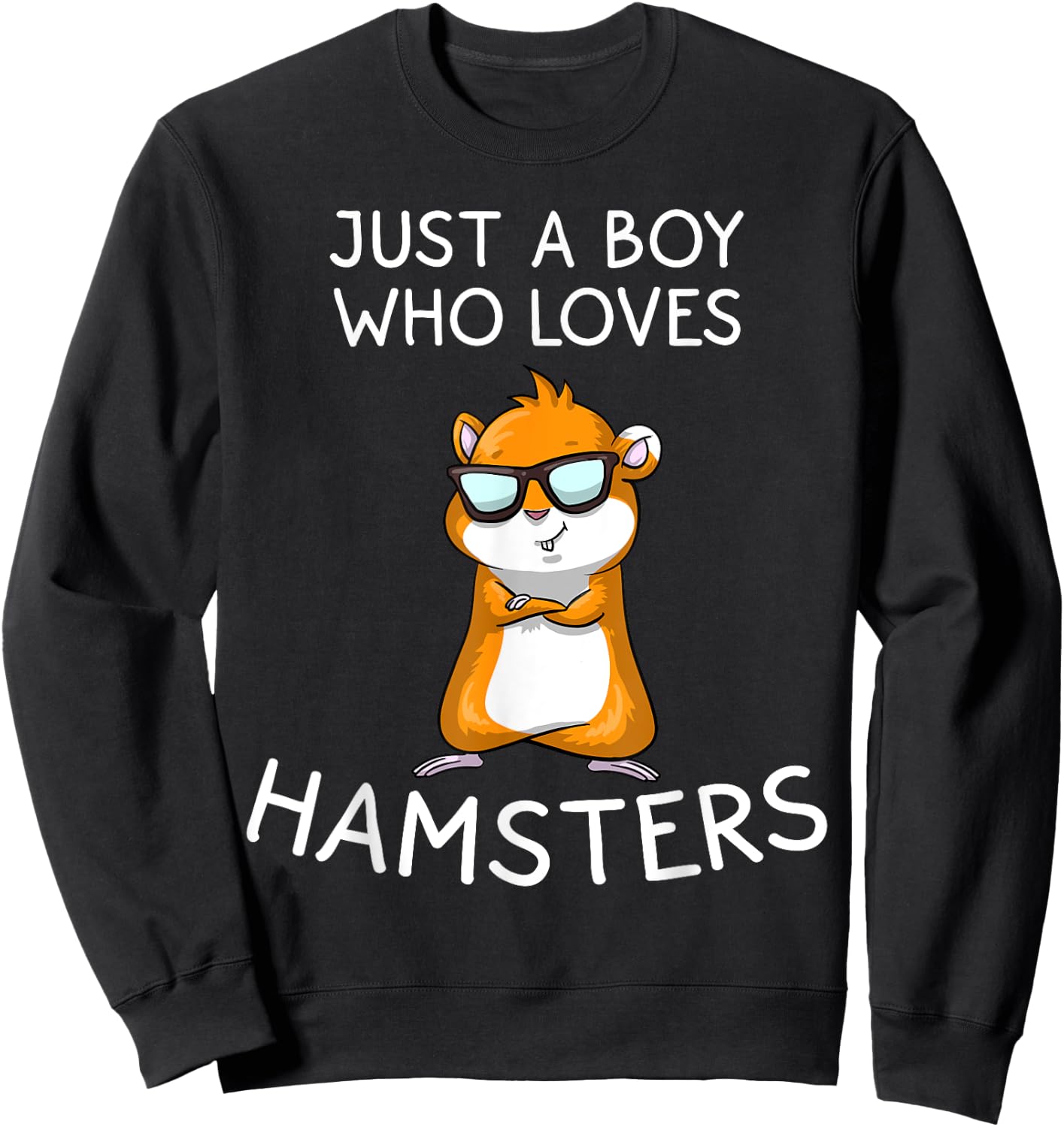 Funny Hamster Gift Kids And Boys Cool Tiny Rat Pet Lover Sweatshirt - Sweatshirt | Black