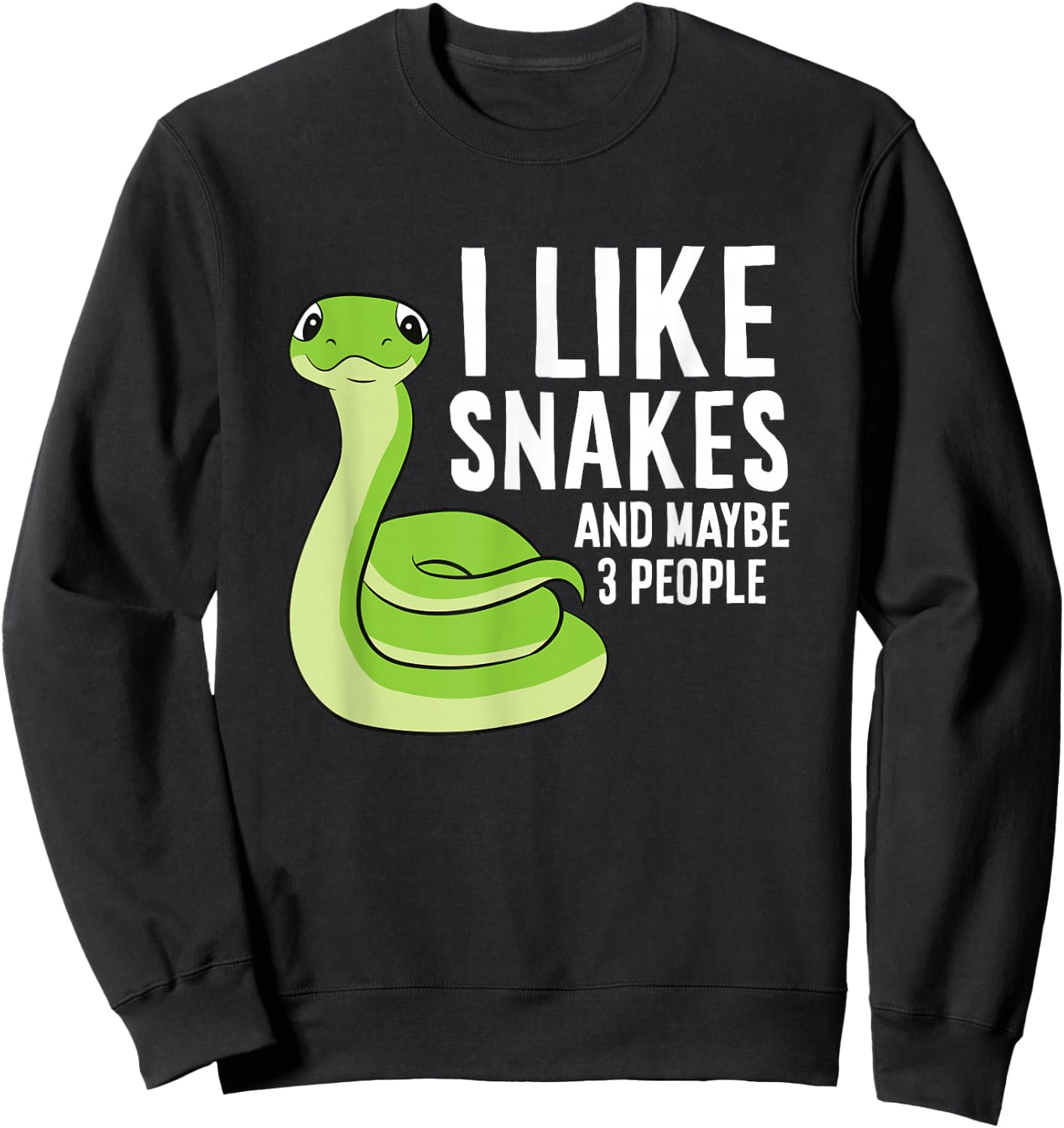Snake Owner Pet Snake I Like Snakes And Maybe 3 People Sweatshirt - Sweatshirt | Black