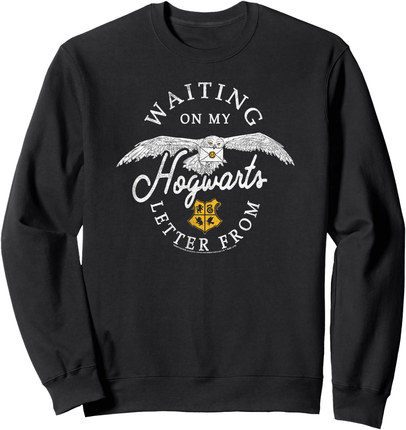Harry Potter Hedwig Waiting On My Hogwarts Letter Distressed Sweatshirt - Sweatshirt | Black
