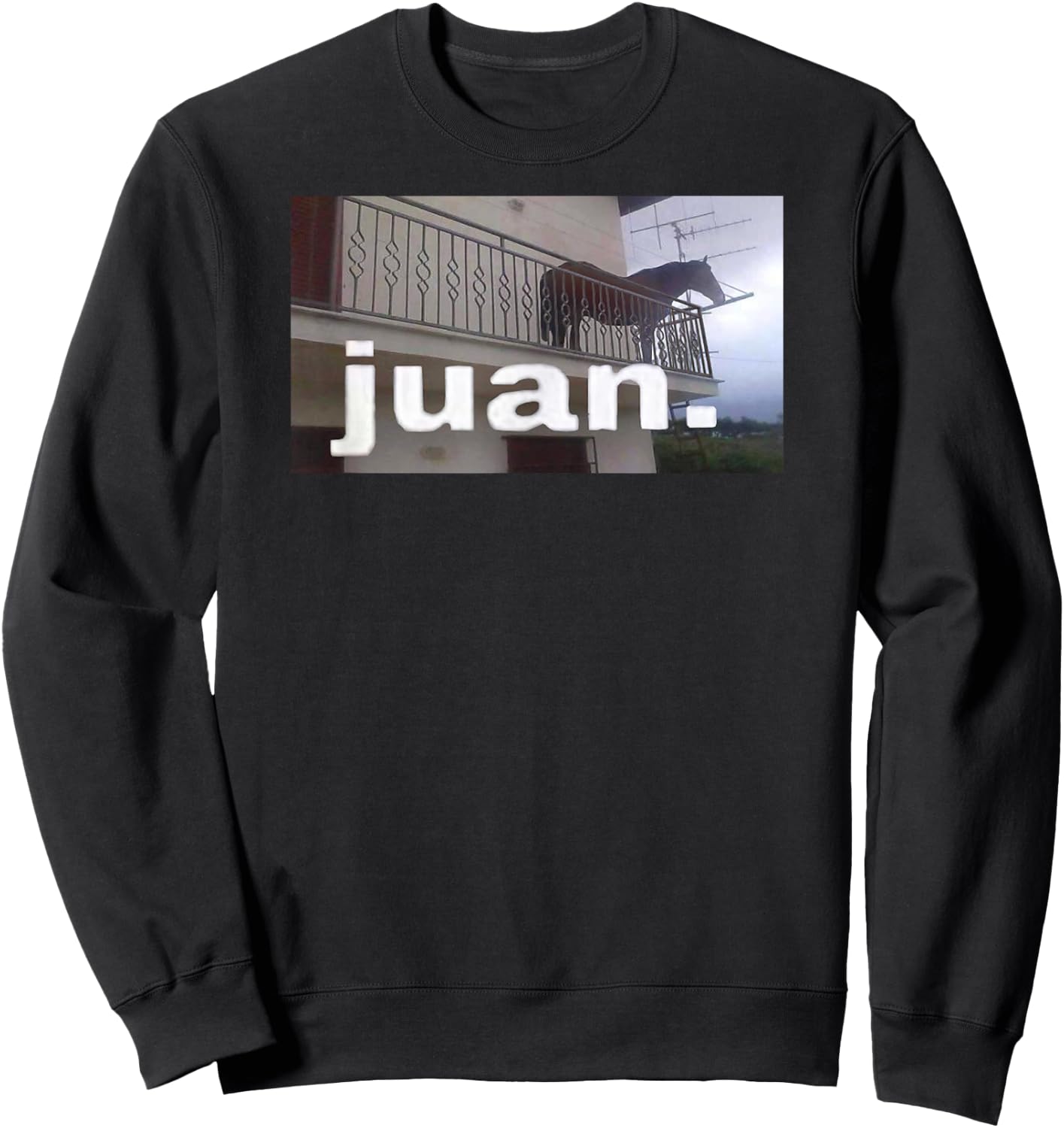 Juan Horse Meme on Balcony Sweatshirt - Sweatshirt | Black