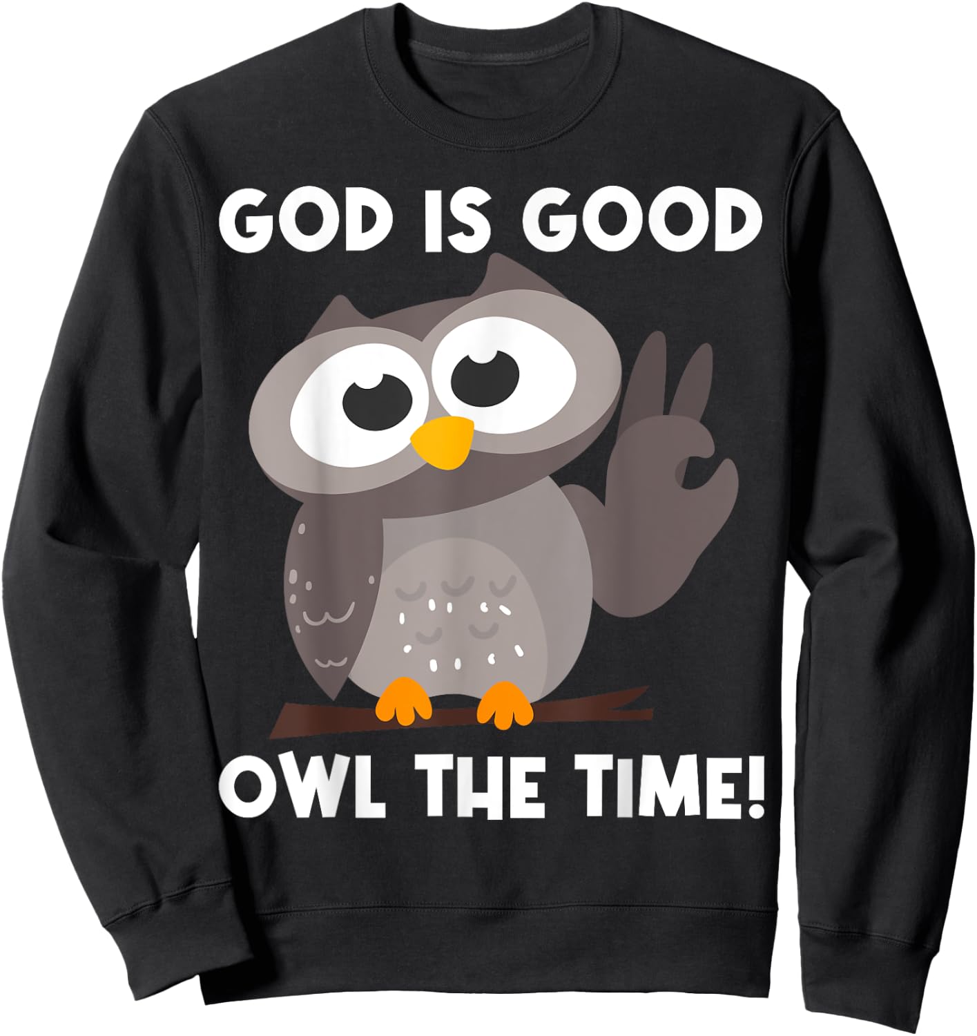 Owl Gift Women Boys Girls Nocturnal Bird Owl Lovers Sweatshirt - Sweatshirt | Black