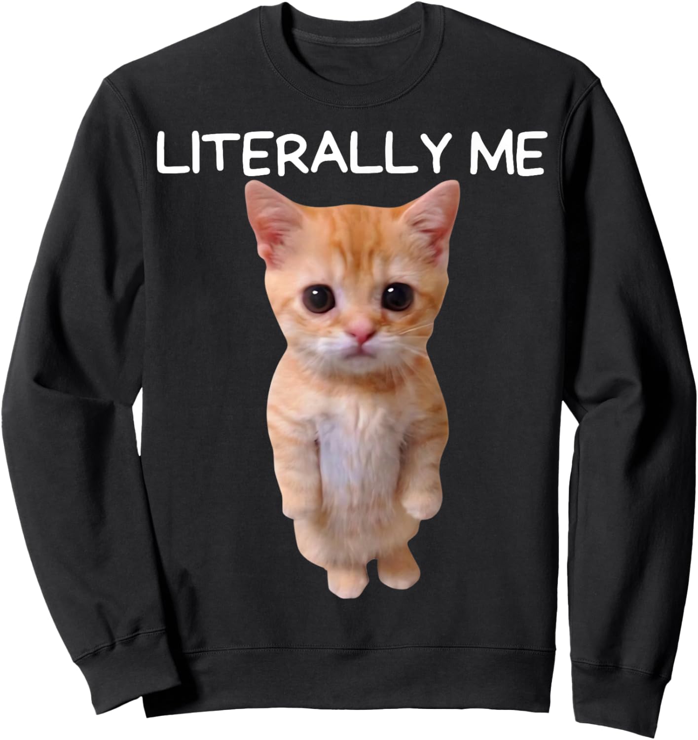 Literally Me Cat Meme Funny Memes Internet Memes Gen Z Joke Sweatshirt - Sweatshirt | Black