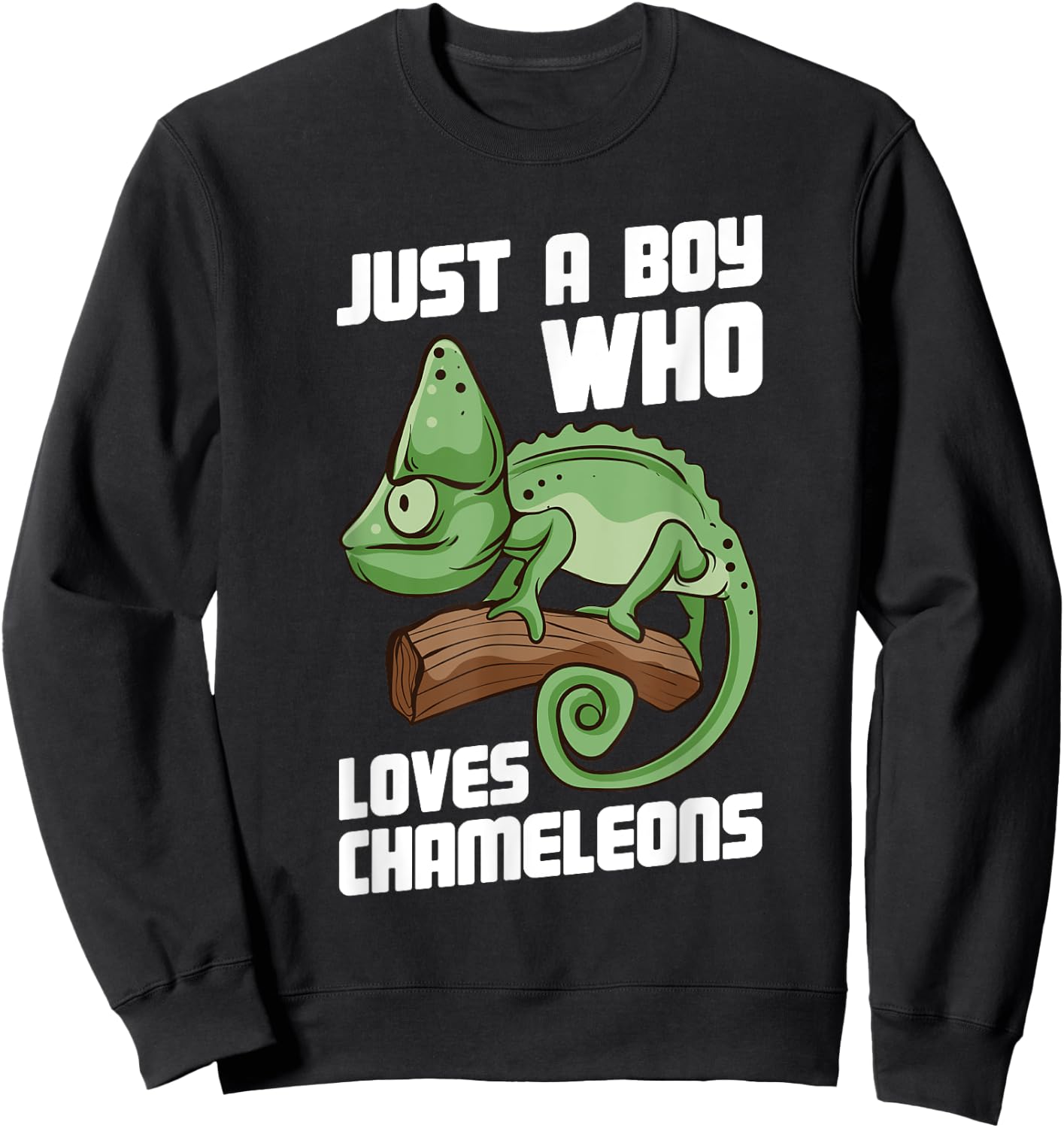 Just a Boy Who Loves Chameleons Cute Lizard Chameleon Sweatshirt - Sweatshirt | Black