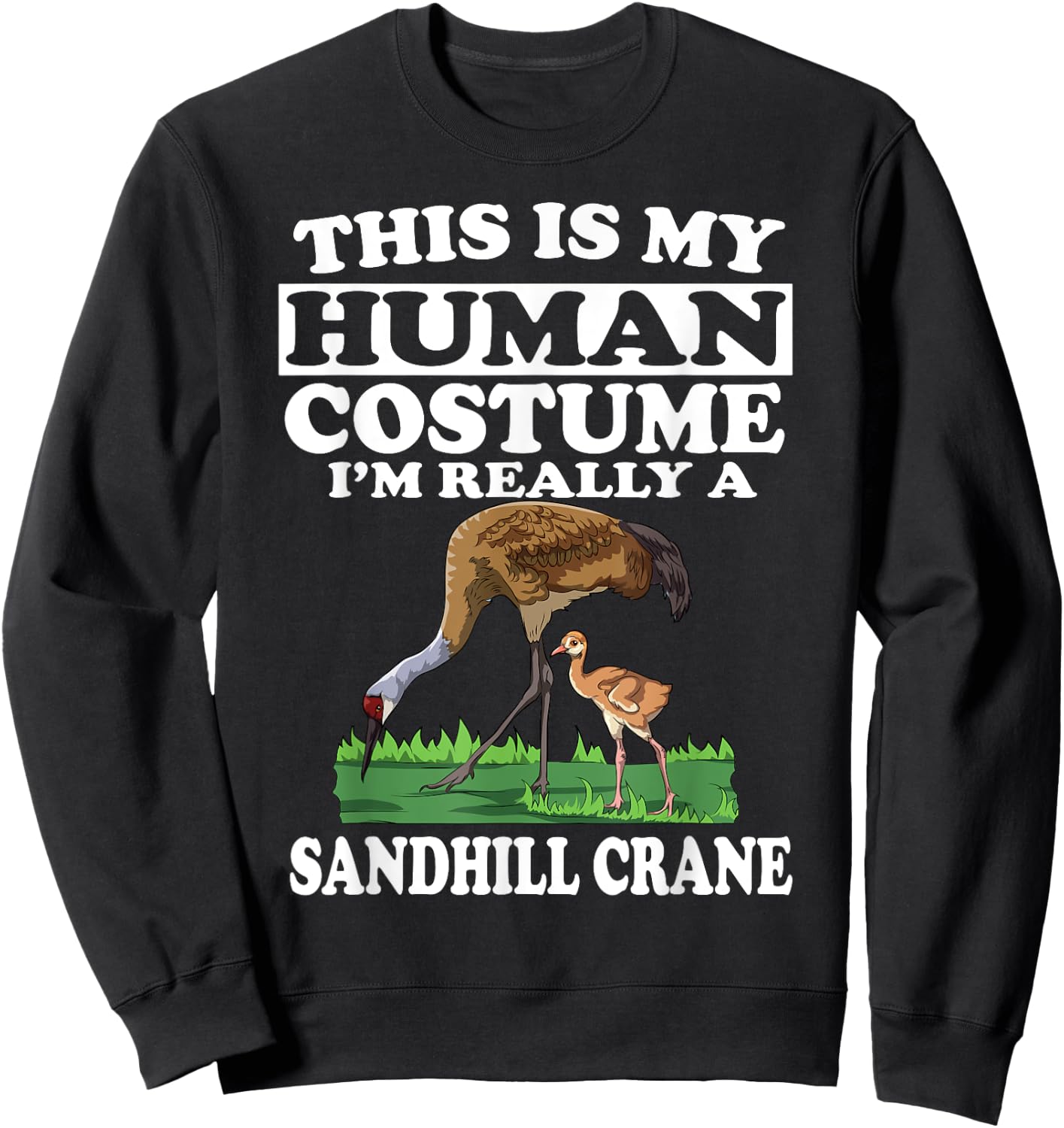 This Is My Human Costume I'm Really A Sandhill Crane Birding Sweatshirt - Sweatshirt | Black