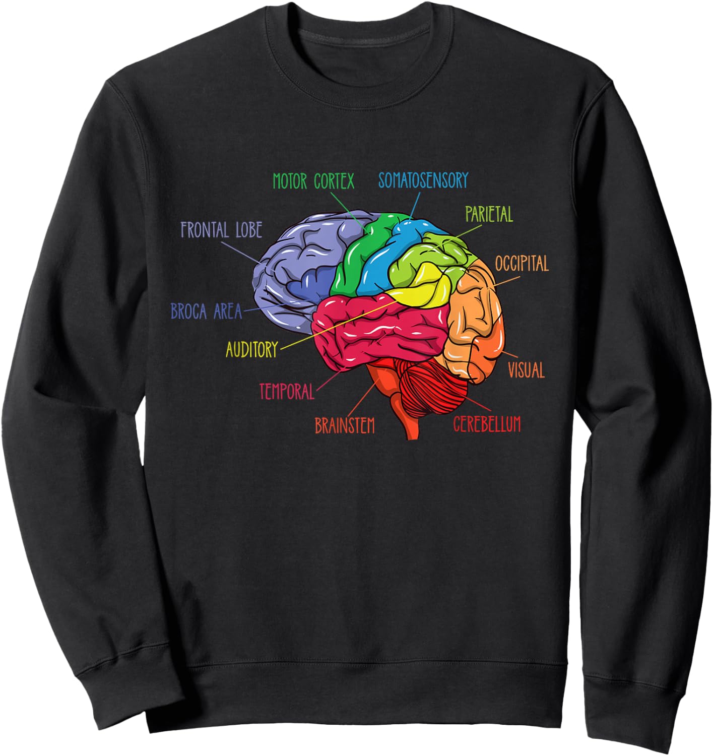 Anatomy Of The Brain Neurologist Gift Sweatshirt - Sweatshirt | Black