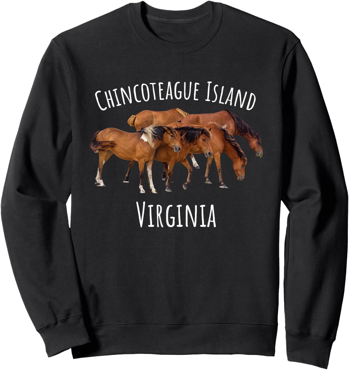 Chincoteague Island Virginia Horse Assateague Pony Sweatshirt - Sweatshirt | Black