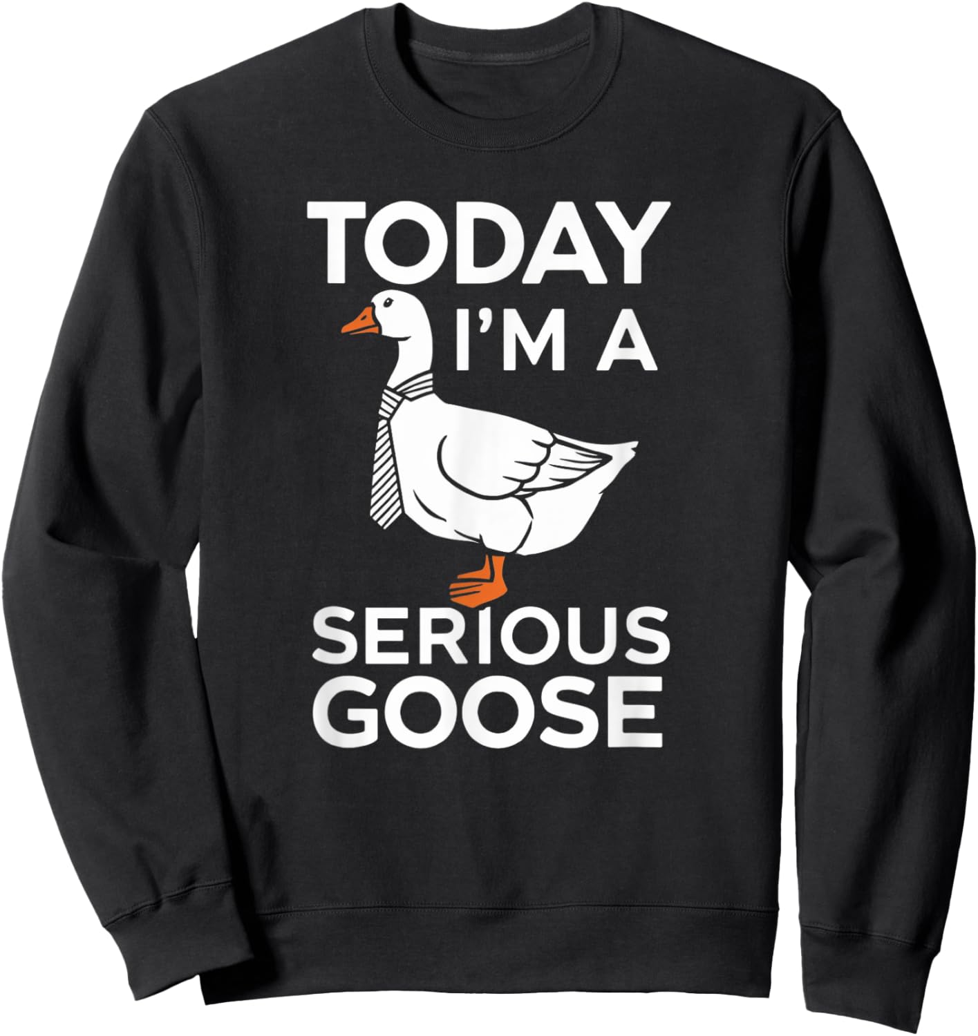 Today I'm a Serious Goose Silly Goose Funny Bird Sweatshirt - Sweatshirt | Black