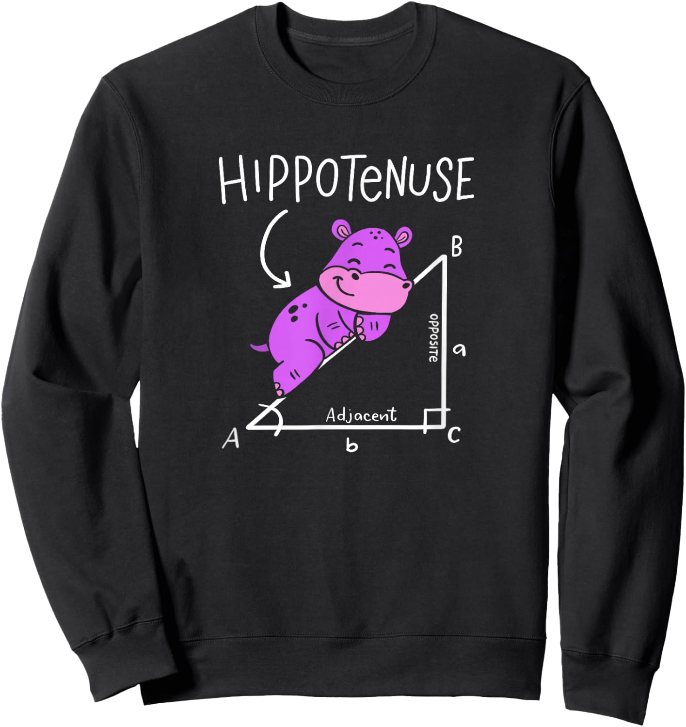 Hippopotamus Geometry Funny Math Lover Hypotenuse Costume Sweatshirt - Sweatshirt | Black