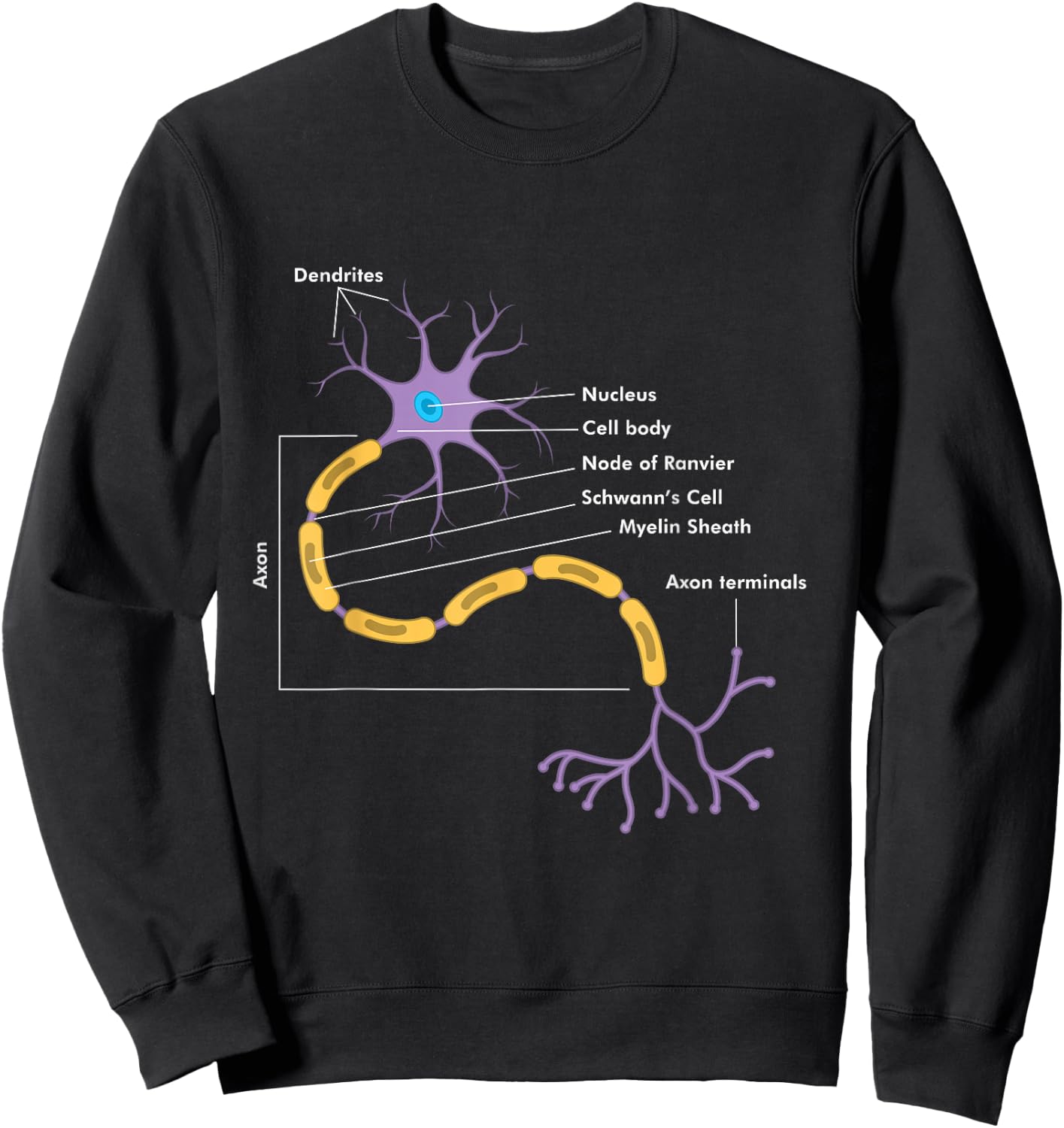 Anatomy of Neuron Neurologist Gift Sweatshirt - Sweatshirt | Black