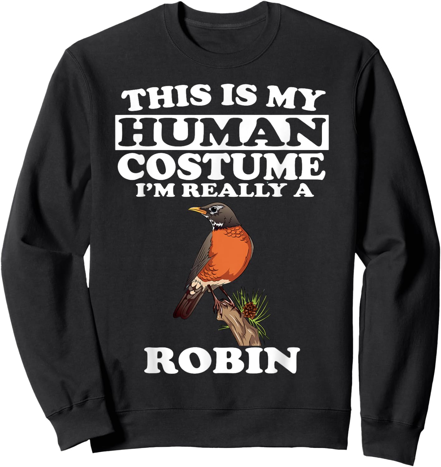 This Is My Human Costume I'm Really A Robin Bird Birding Sweatshirt - Sweatshirt | Black