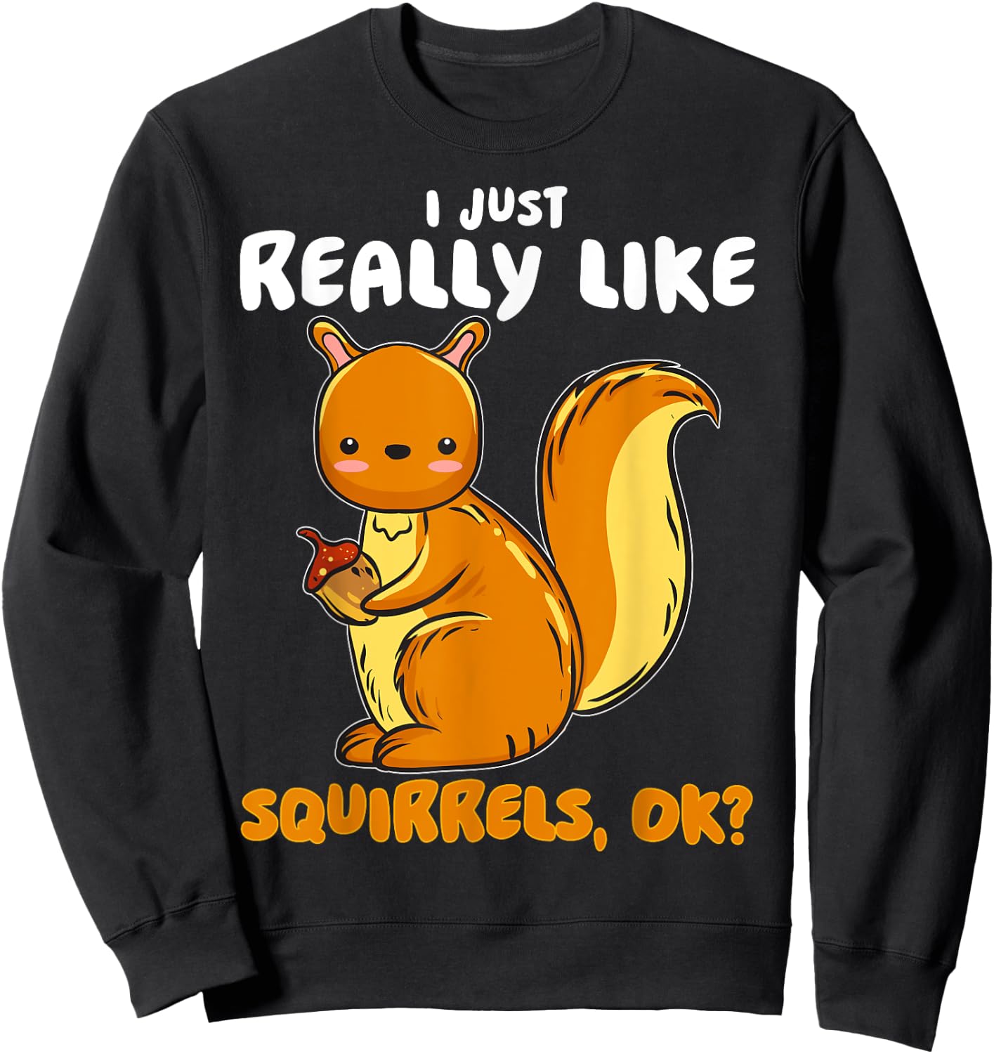 I Just Really Like Squirrels Ok Pet Owner Lover Rescue Sweatshirt - Sweatshirt | Black