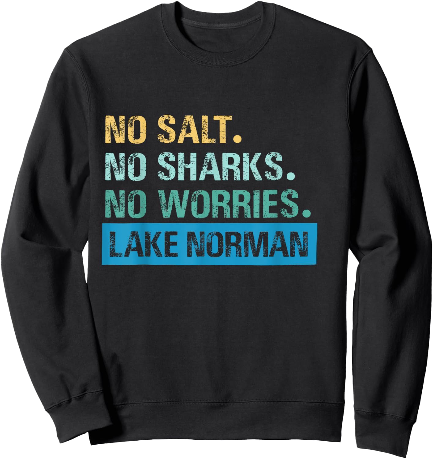 Lake Norman, NC | Vintage Distressed Sweatshirt - Sweatshirt | Black