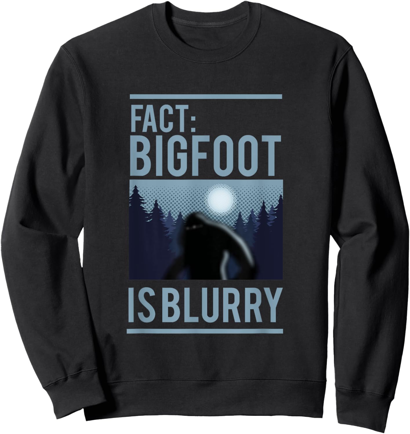 Fact Bigfoot Is Blurry Wilderness Ape Creature Gift Sweatshirt - Sweatshirt | Black