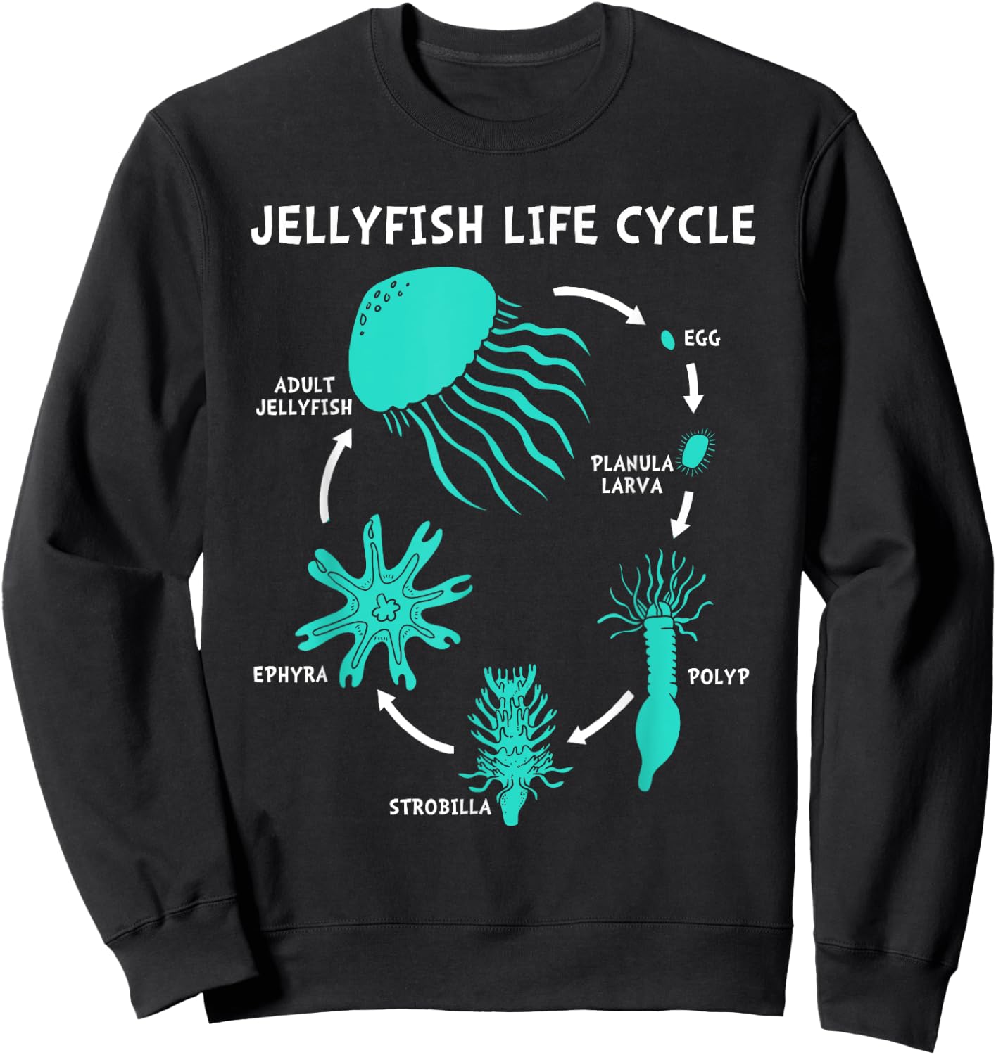 Life Cycle Of A Jellyfish Sweatshirt - Sweatshirt | Black