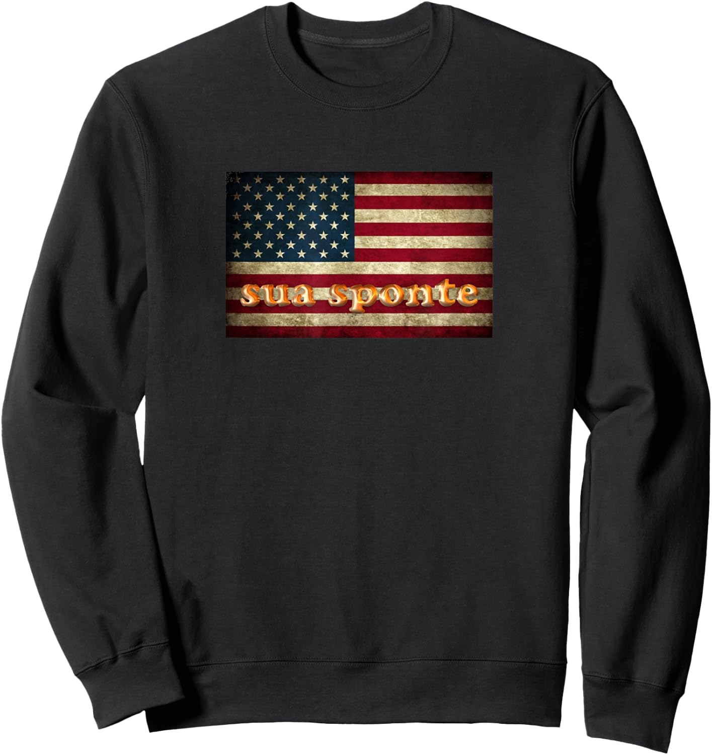 SUA SPONTE American Flag Sweatshirt - Sweatshirt | Black