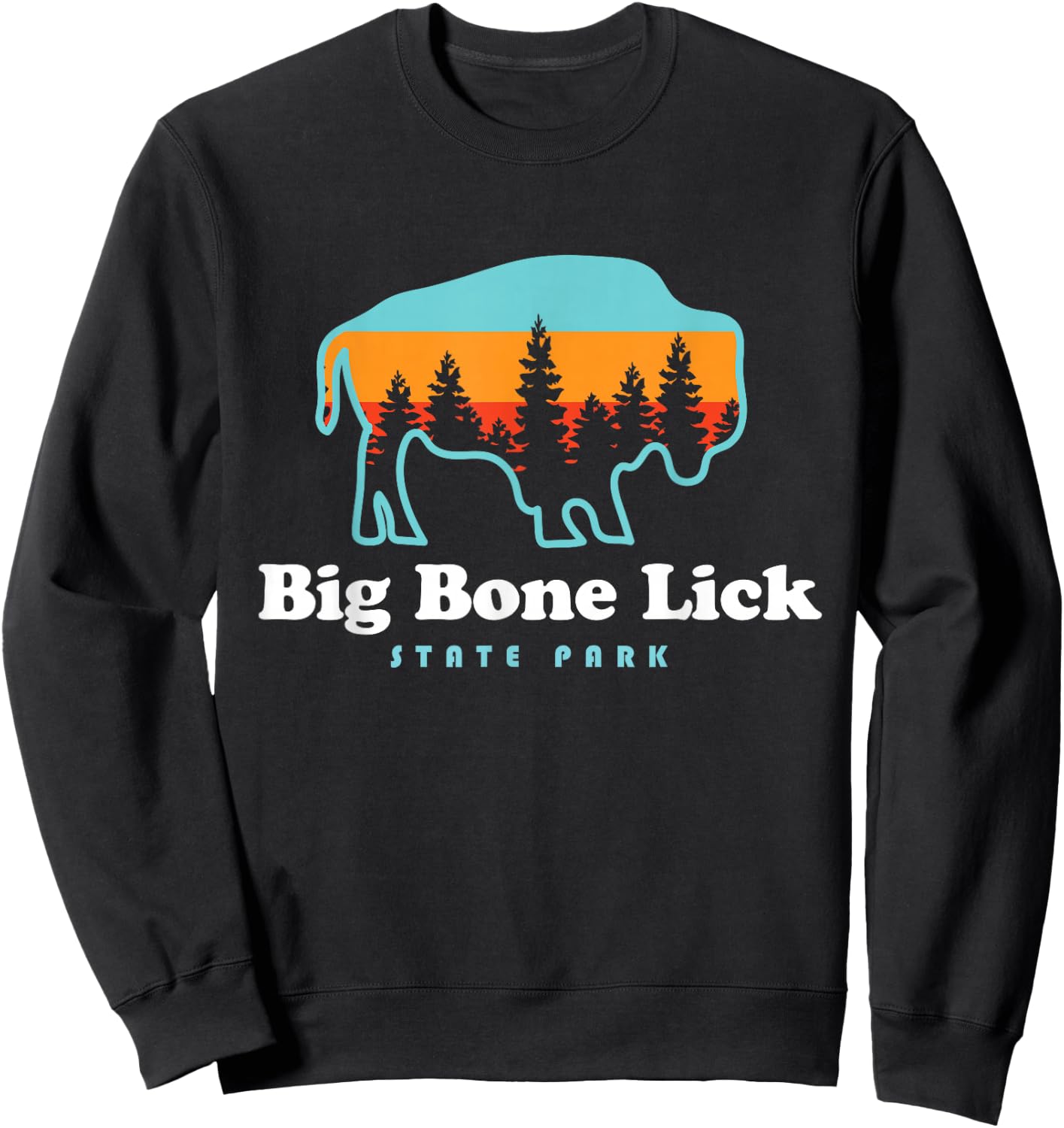 Big Bone Lick State Park Kentucky Bison Fossils Sweatshirt - Sweatshirt | Black