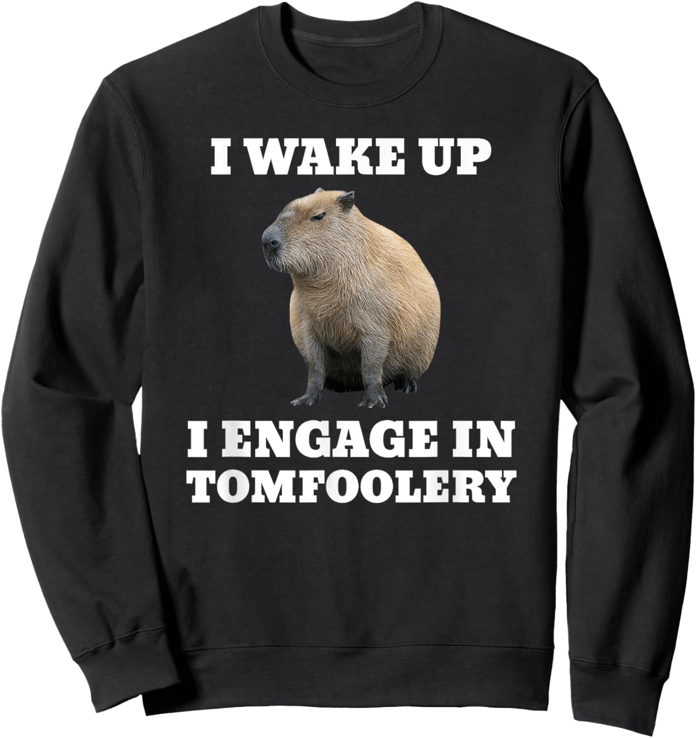 I Wake Up I Engage In Tomfoolery Meme Capybara Sweatshirt - Sweatshirt | Black