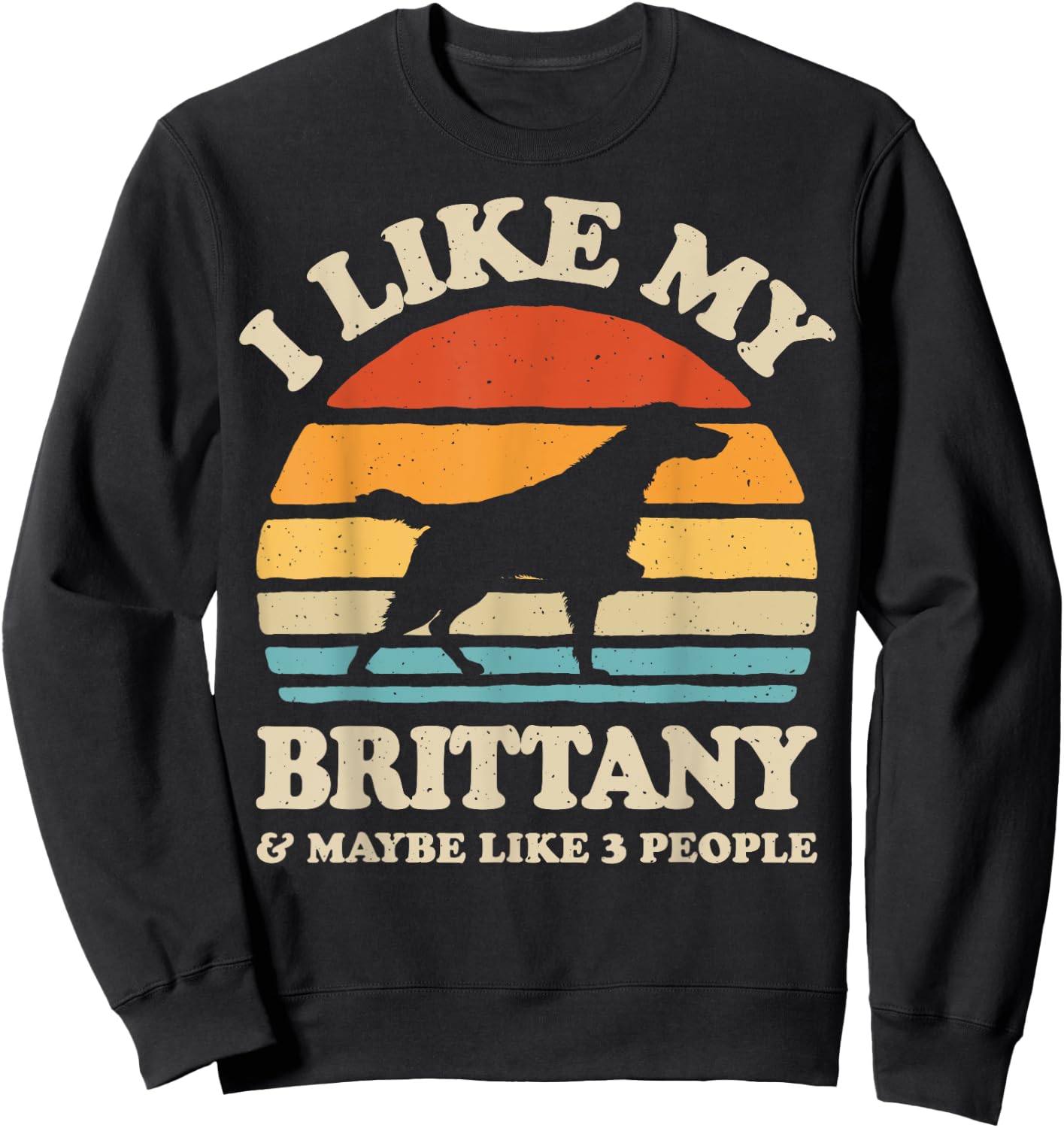 I Like My Brittany Spaniel And Maybe Like 3 People Dog Retro Women Girls Kids Sweatshirt - Sweatshirt | Black