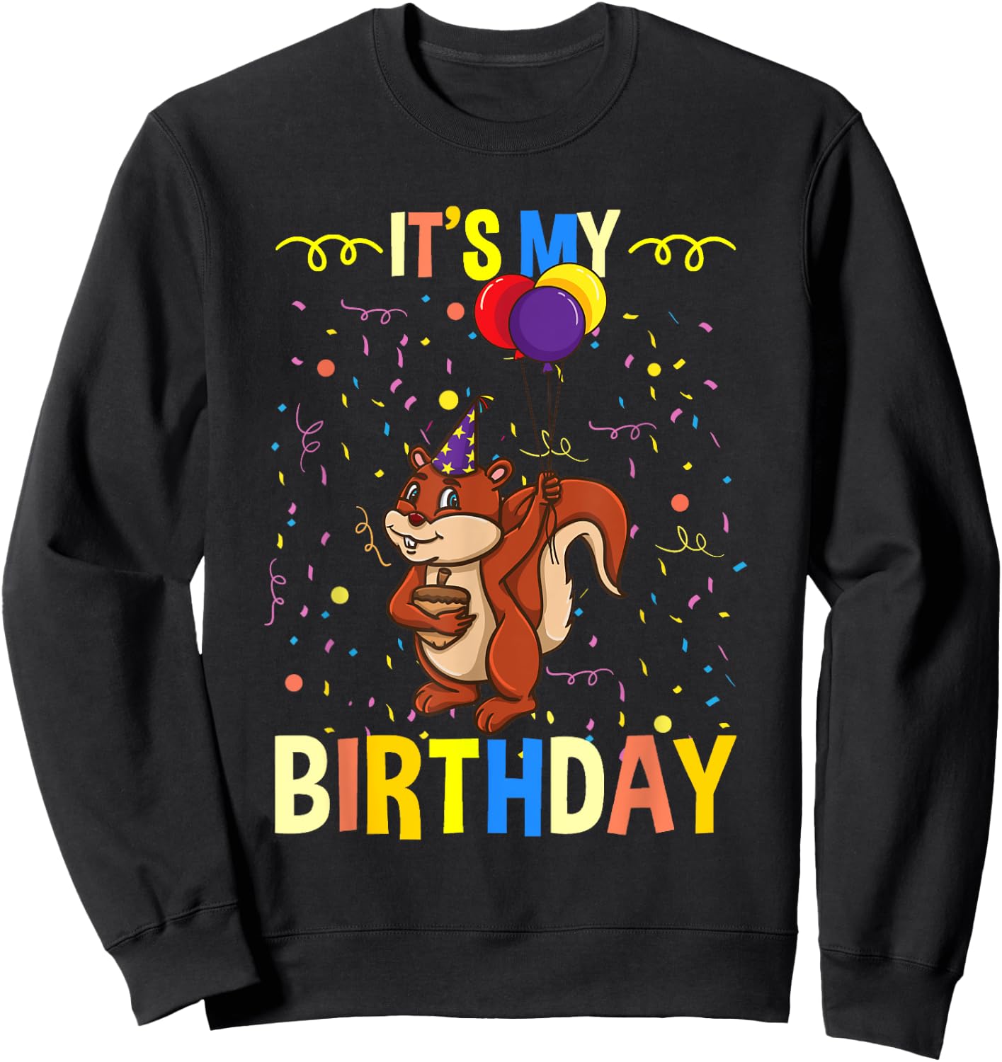Its My Birthday Squirrel Lover Sweatshirt - Sweatshirt | Black