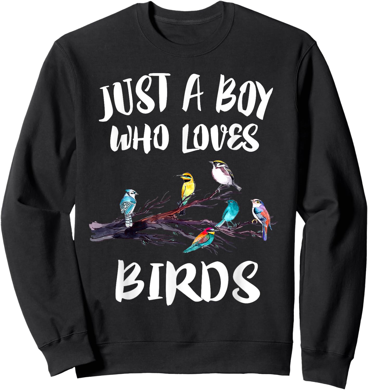 Just A Boy Who Loves Birds Birding Gift Sweatshirt - Sweatshirt | Black