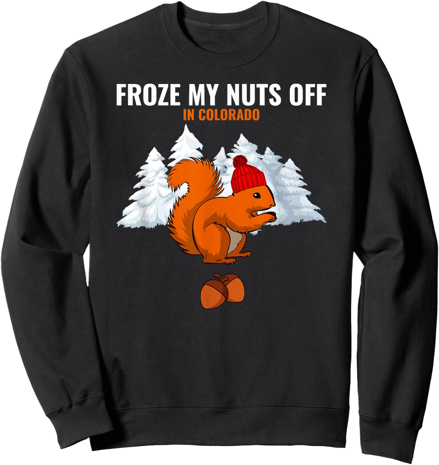 Froze My Nuts Off In Colorado Funny Squirrel Tourist Sweatshirt - Sweatshirt | Black