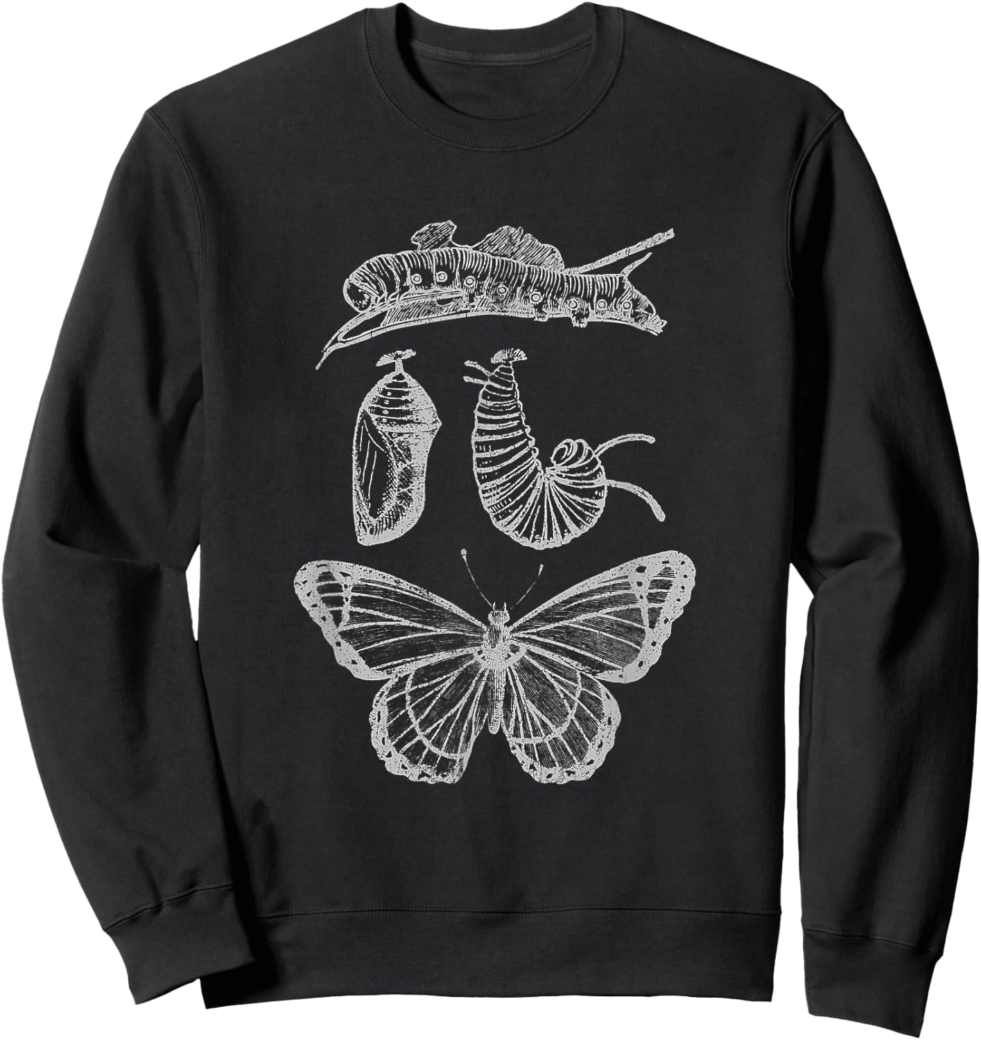 Butterfly Entomology Science Specimen Caterpillar Insect Bug Sweatshirt - Sweatshirt | Black