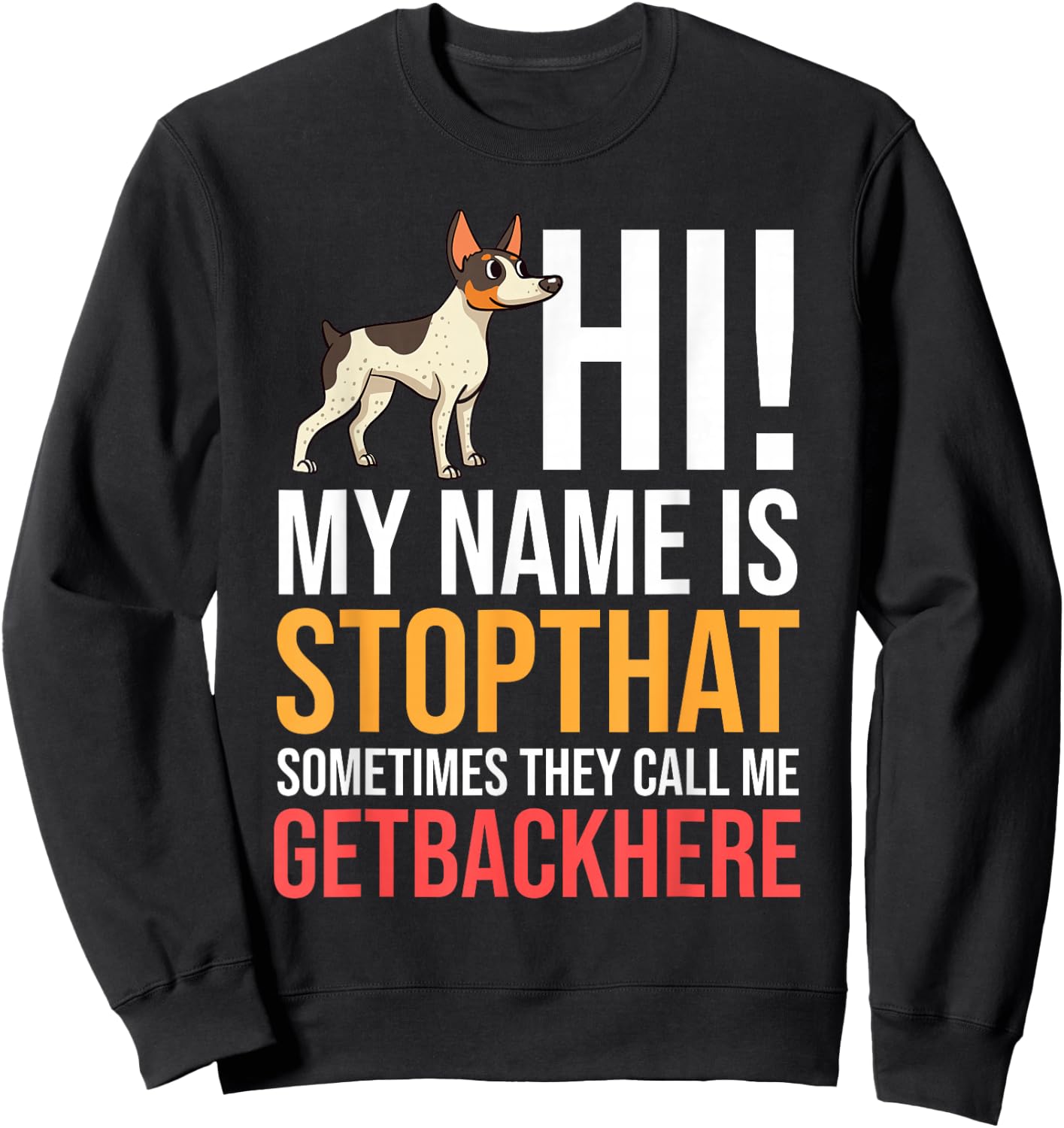 Rat Terrier Dog Puppies Owner Lover Sweatshirt - Sweatshirt | Black