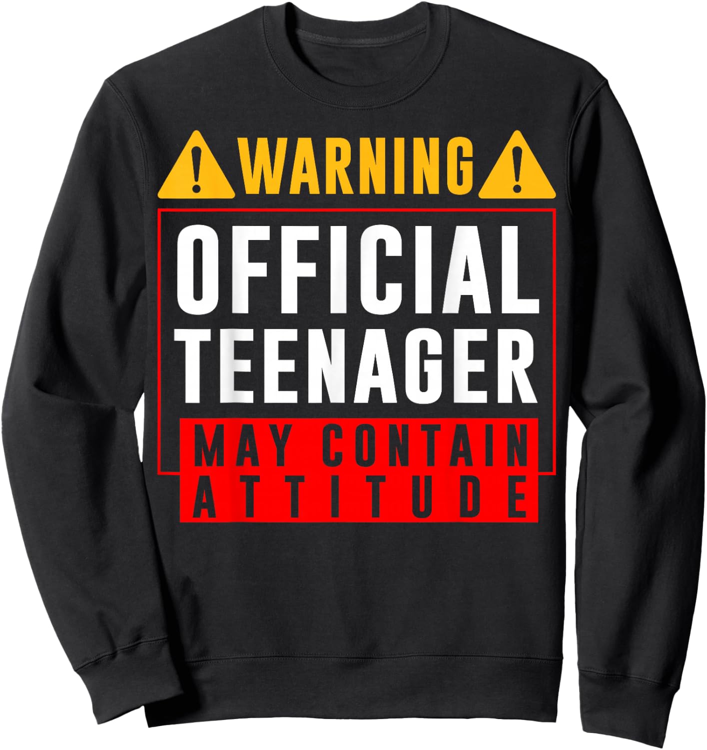 Boys and Girls - You are 13 - Sign Warning Offical Teenager Sweatshirt - Sweatshirt | Black