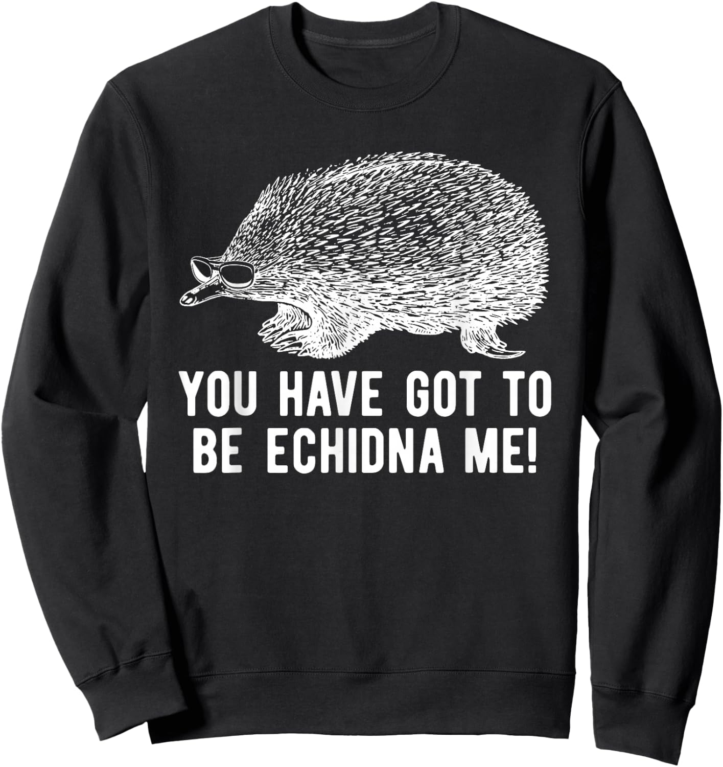 Funny Echidna With Sunglasses Spiny Mammal Pun Sweatshirt - Sweatshirt | Black