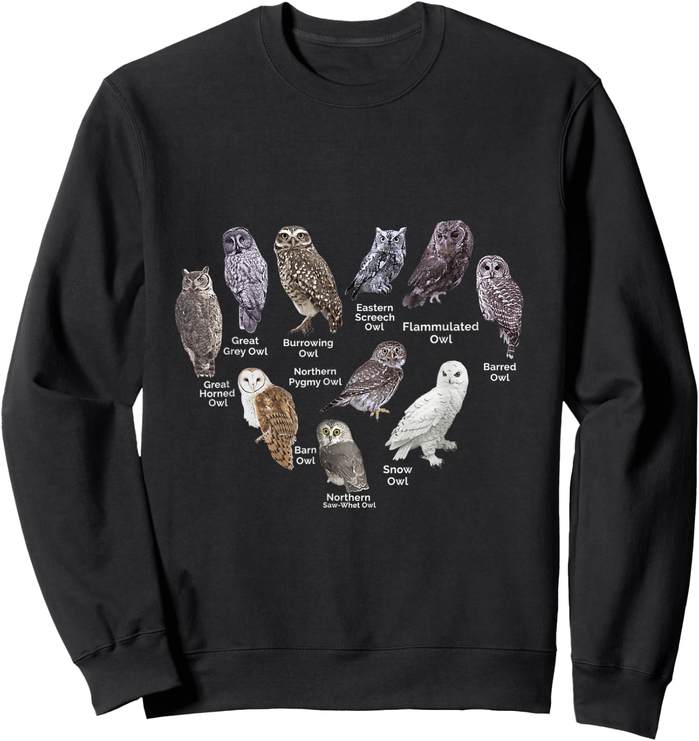 Types of Owls Educational Cute Owl Lover gift men women kids Sweatshirt - Sweatshirt | Black
