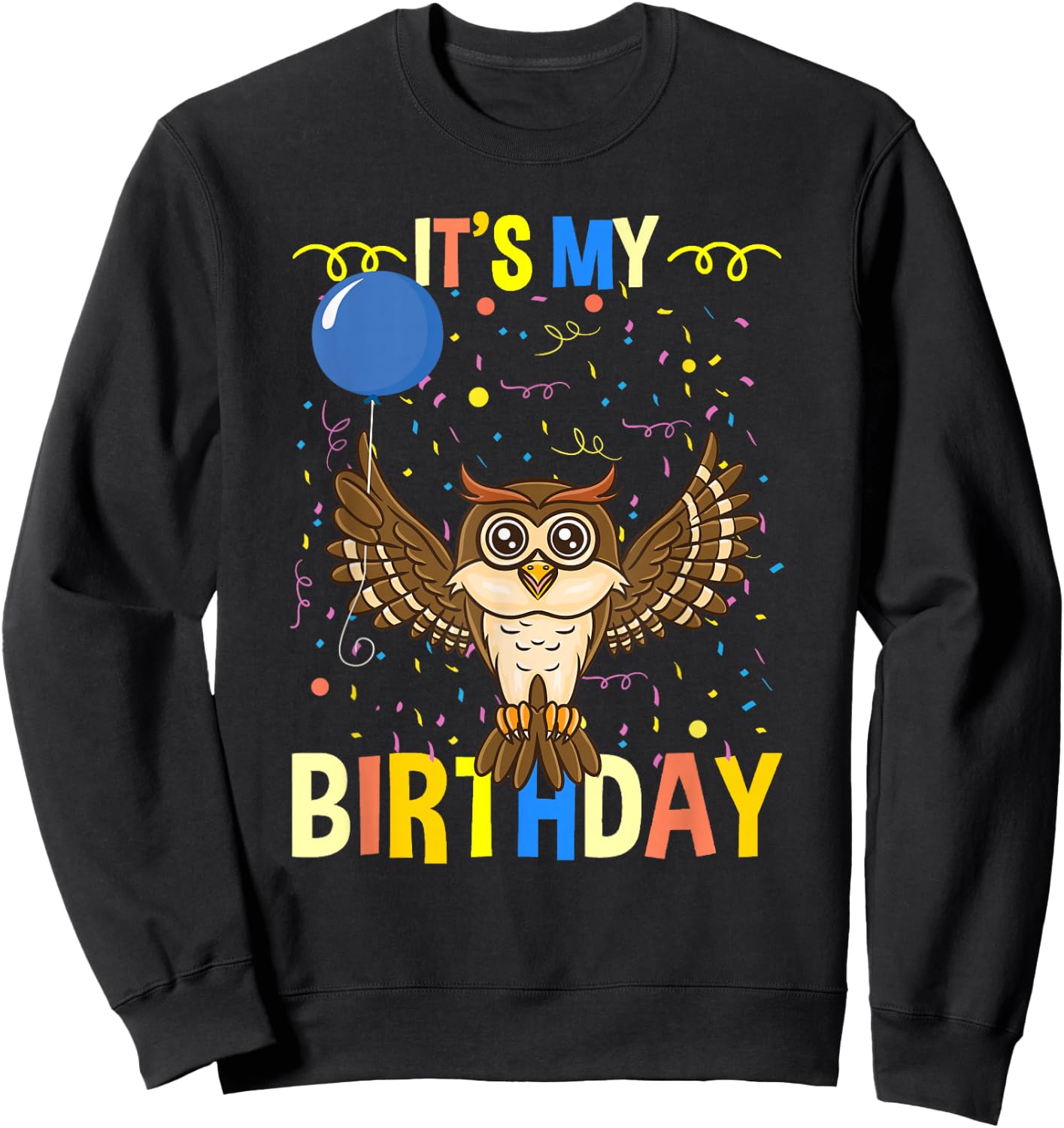Its My Birthday Owl Bird Sweatshirt - Sweatshirt | Black
