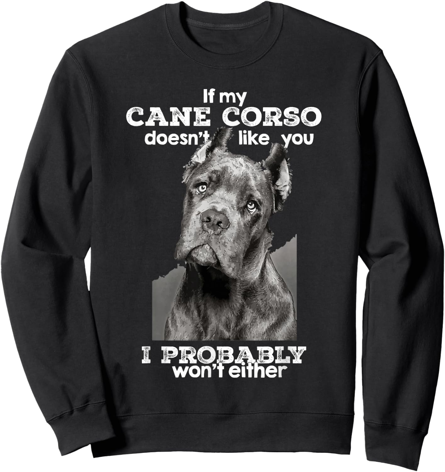 If My Cane Corso Doesn't Like You I Probably Won't Either Sweatshirt - Sweatshirt | Black