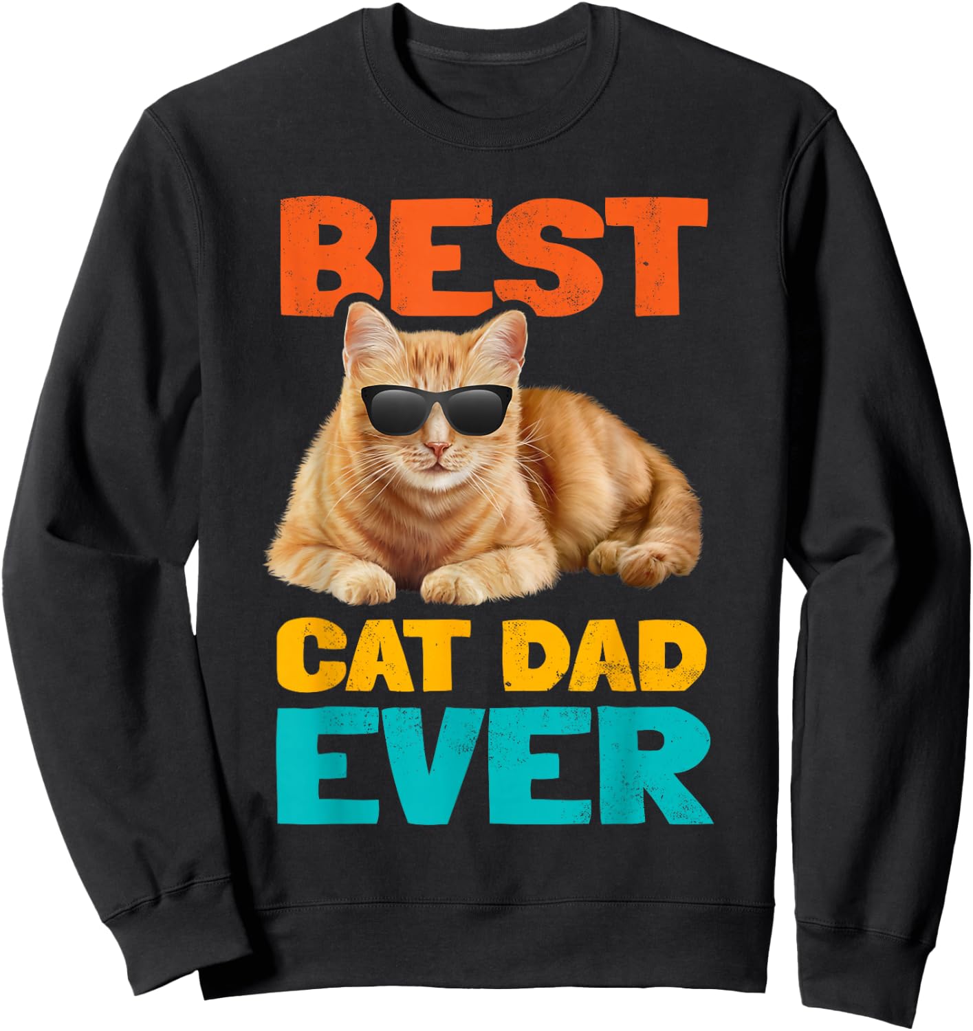 Best Cat Dad Ever Funny Cat Owner Tabby Birthday Fathers Day Sweatshirt - Sweatshirt | Black