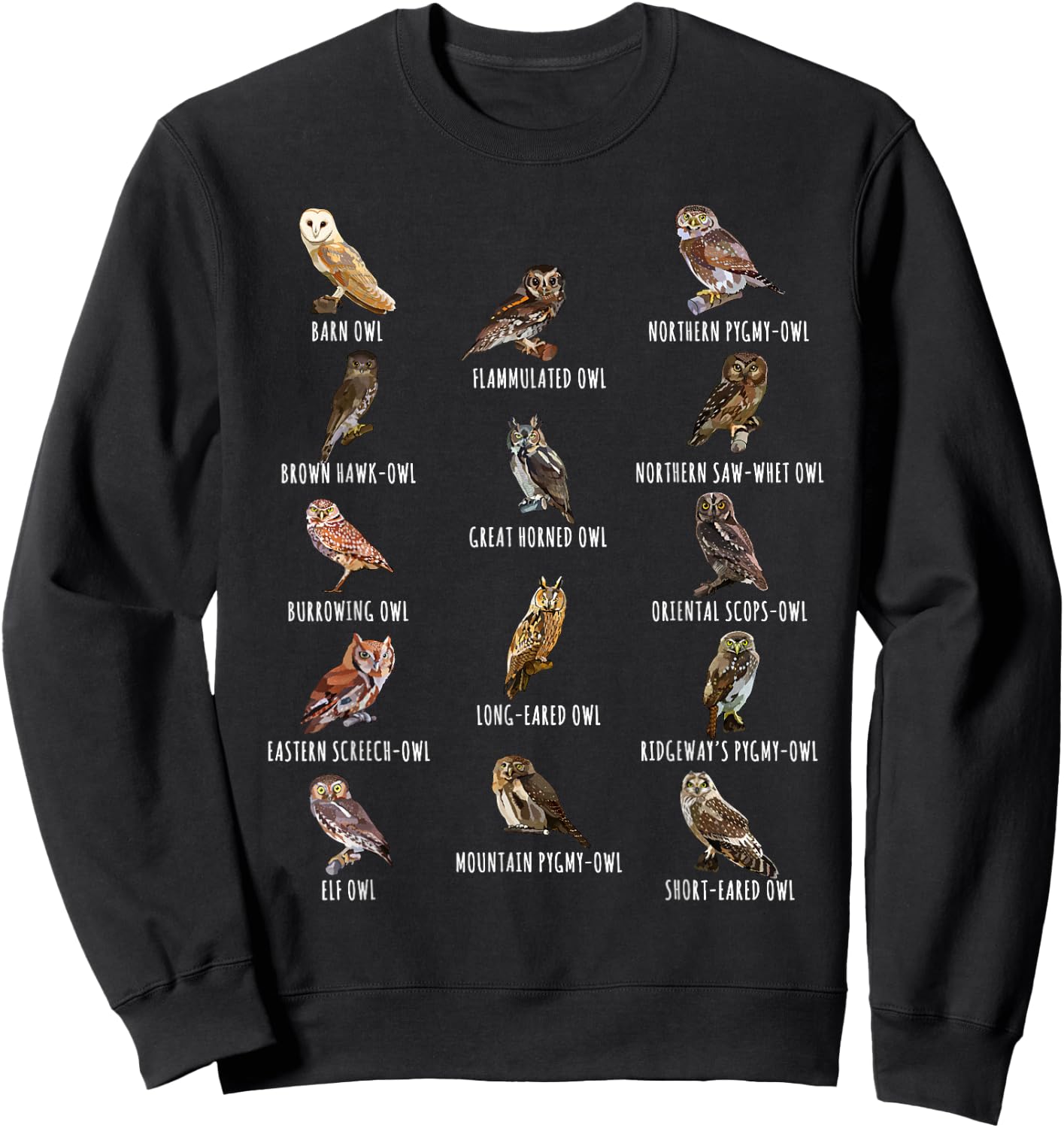 Different Owls Species Biology Types Of Owl Identification Sweatshirt - Sweatshirt | Black