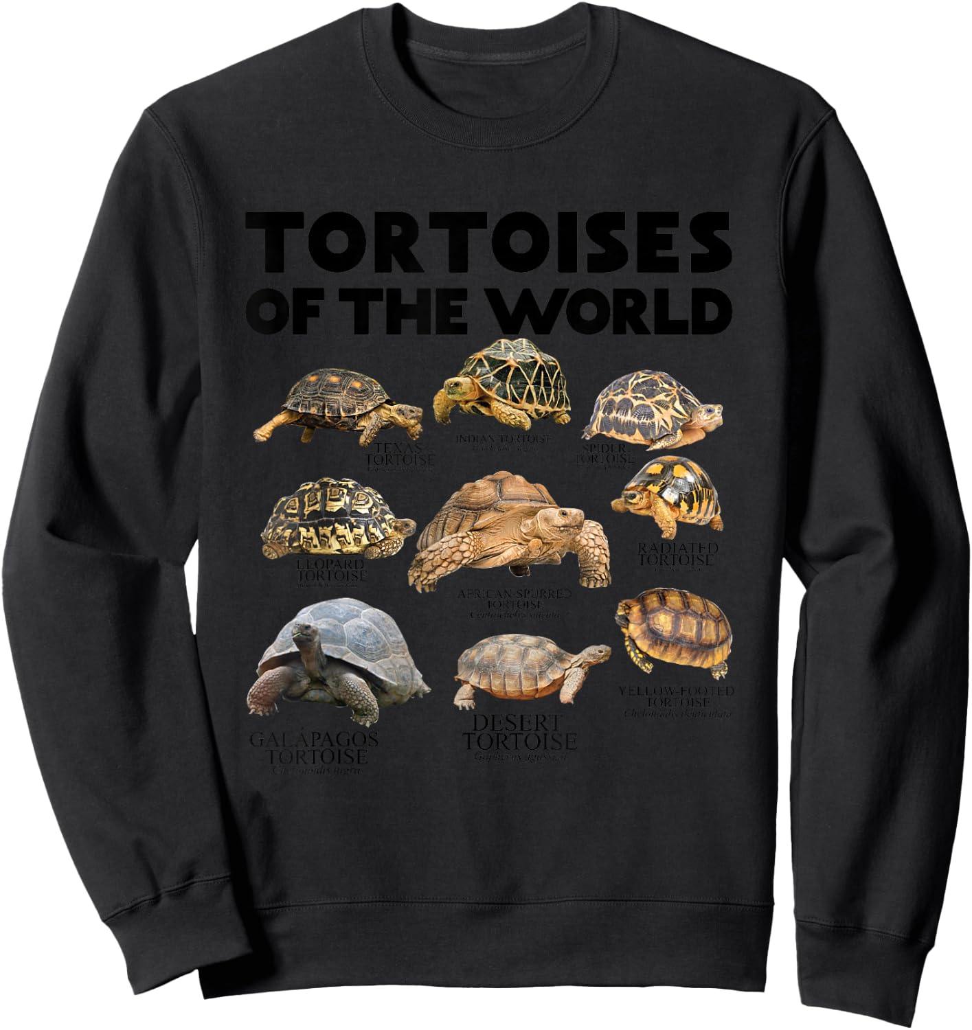 Tortoises of The World Turtles Lover Save The Tortoises Sweatshirt - Sweatshirt | Black