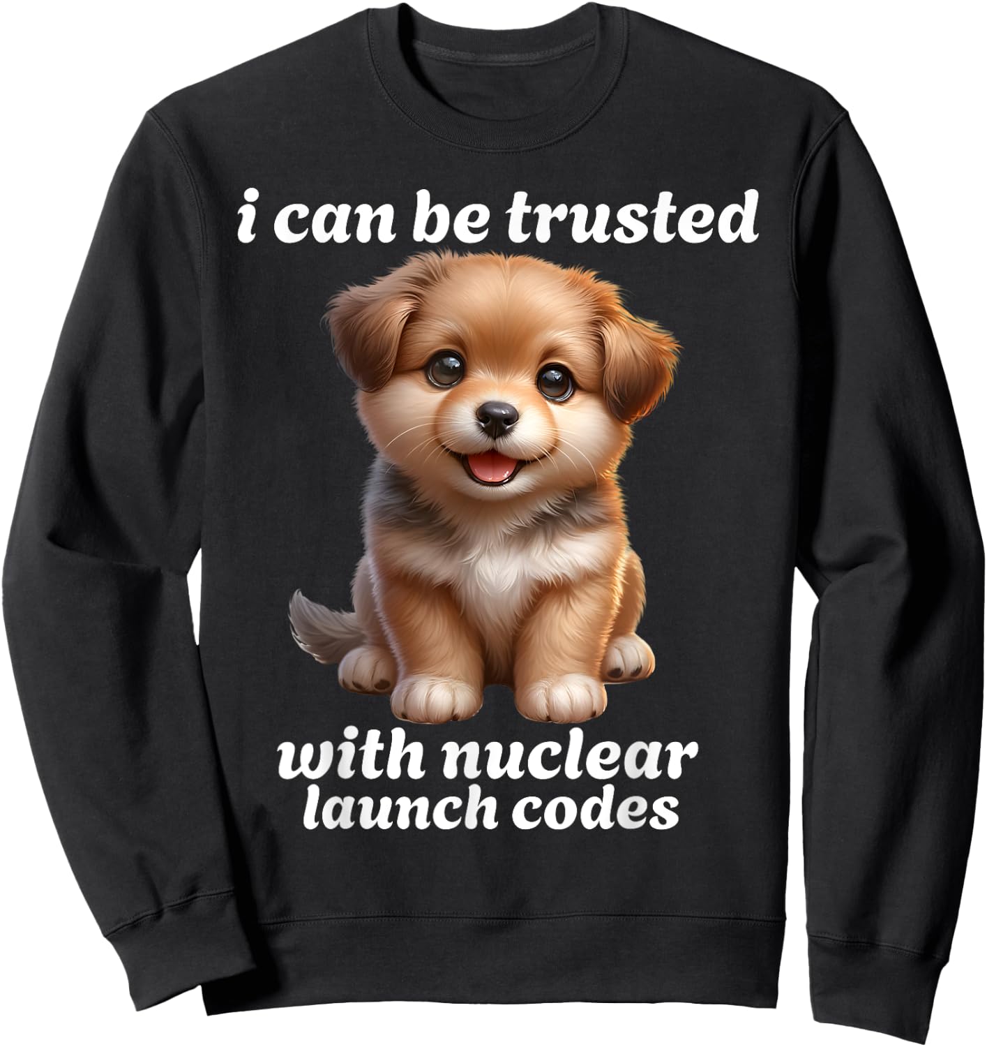 I Can-Be Trusted With Nuclear Launch Codes Funny Dog Meme Men Women Sweatshirt - Sweatshirt | Black