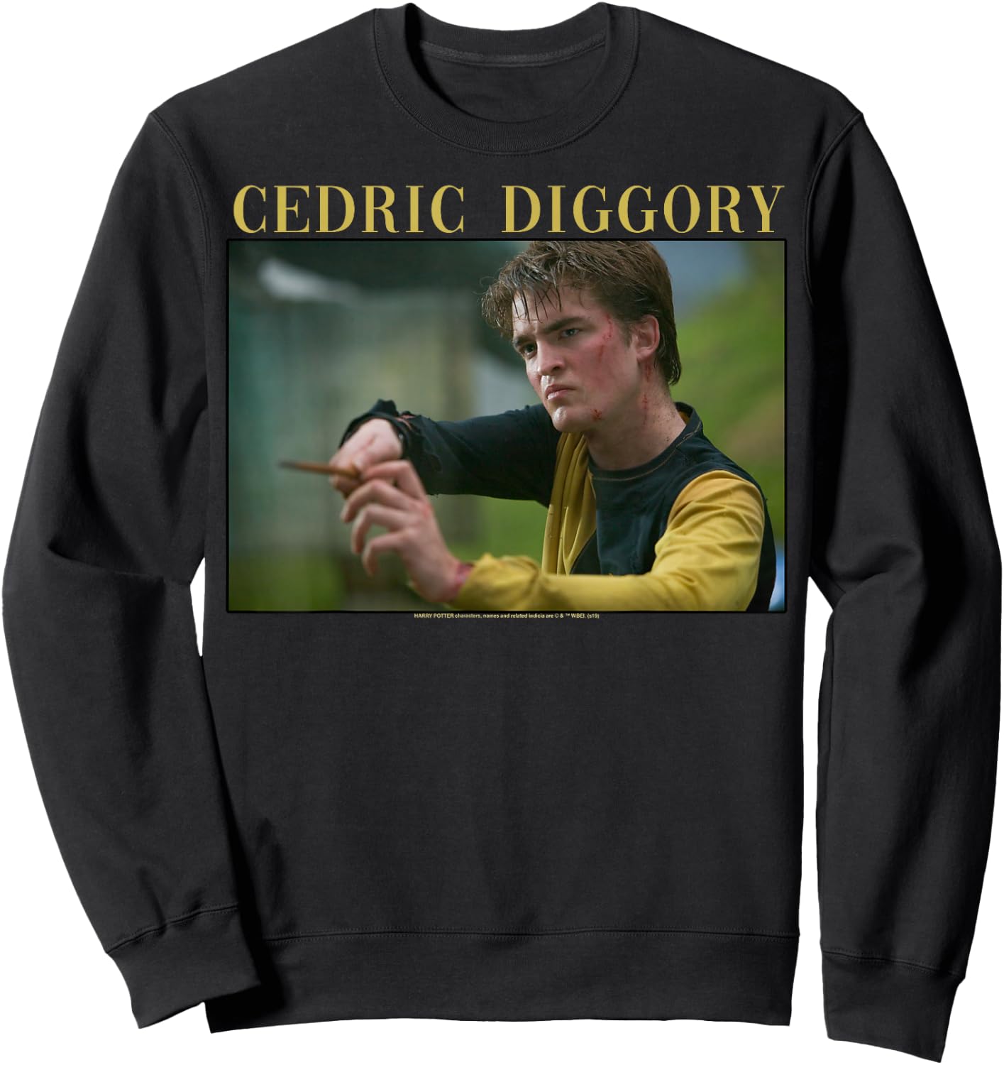 Harry Potter Official Black Adult - Short Sleeve - Small - Crew Collar - Letter Print - Modern Style - Casual Wear - All Seasons - Portrait Theme Sweatshirt - Sweatshirt | Black