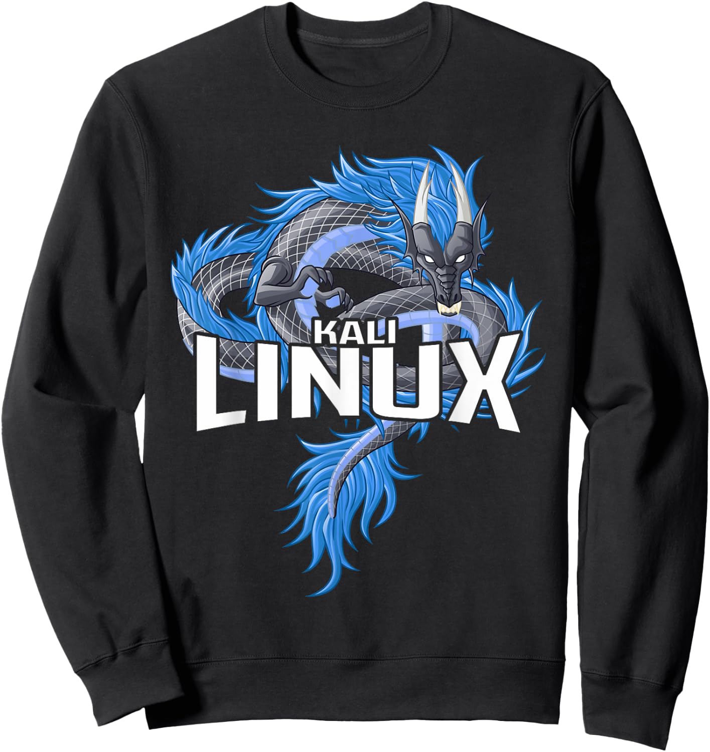 Kali Linux Dragon Artistic Representation Sweatshirt - Sweatshirt | Black