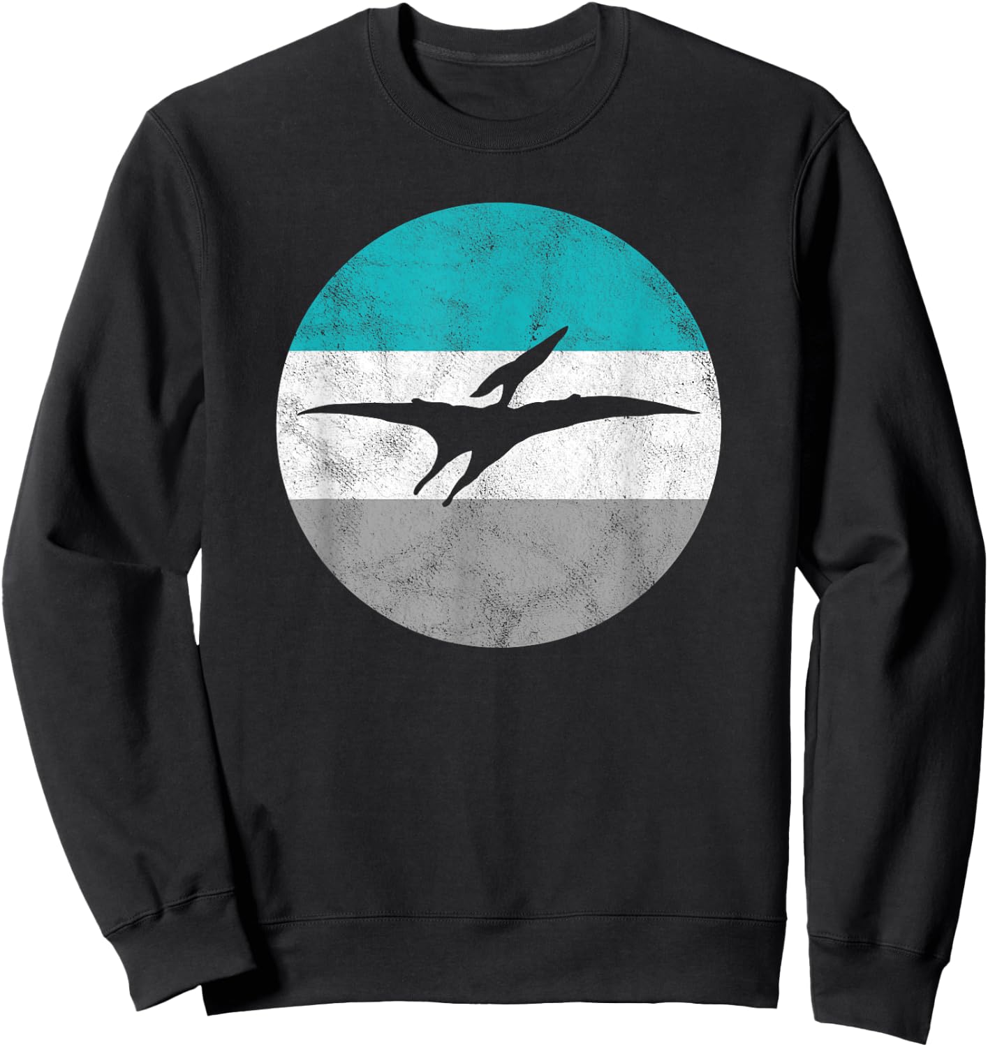 Pterodactyl Retro Dinosaur Gift or Boys Sweatshirt - Sweatshirt | Black