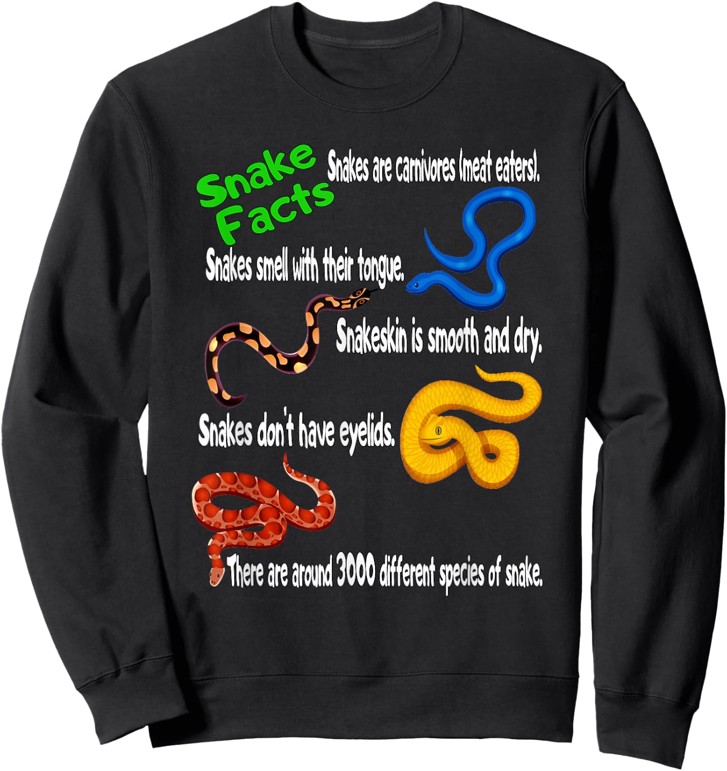 Snake Facts & Funny Boy Girl Toddler Snake Lover Sweatshirt - Sweatshirt | Black
