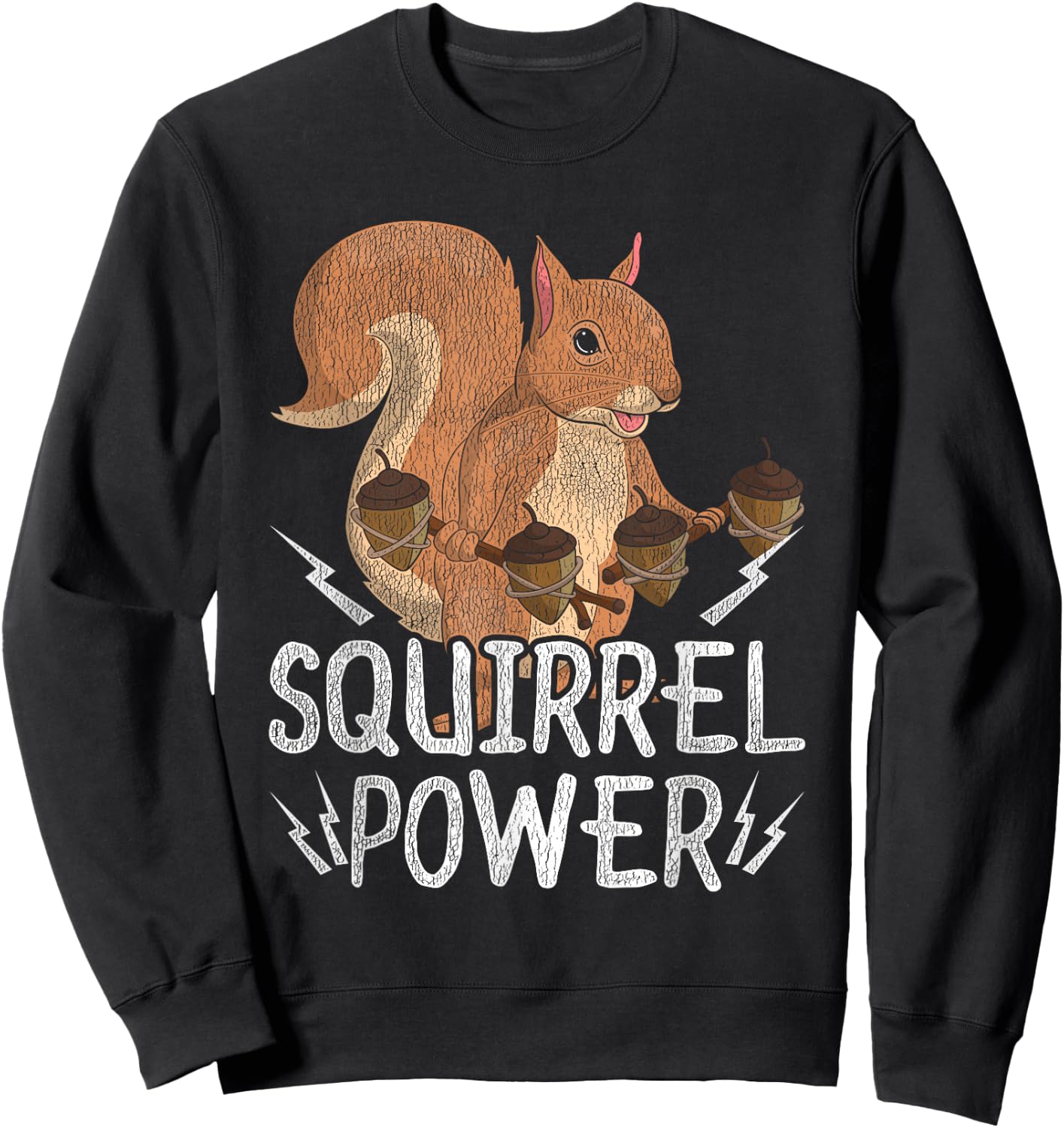 Funny Squirrel Power Zoo Keeper Gift Squirrel Sweatshirt - Sweatshirt | Black